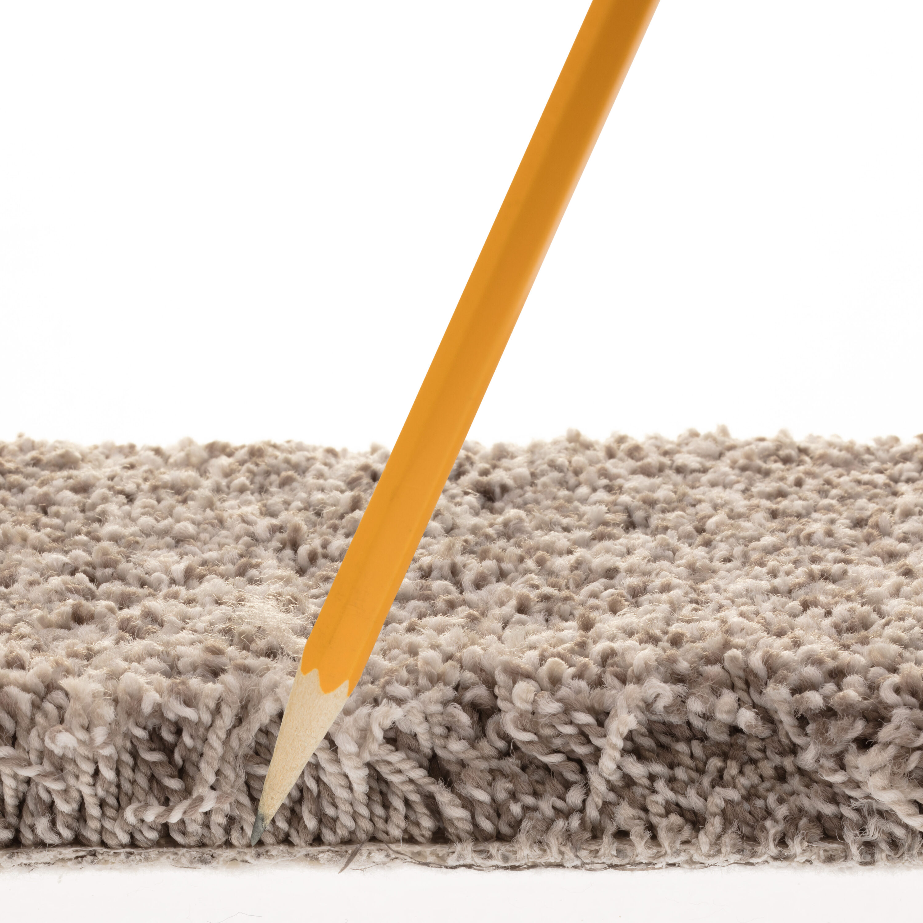 STAINMASTER 7L880 - 744 - SAMP Carpet-Samples - View #7