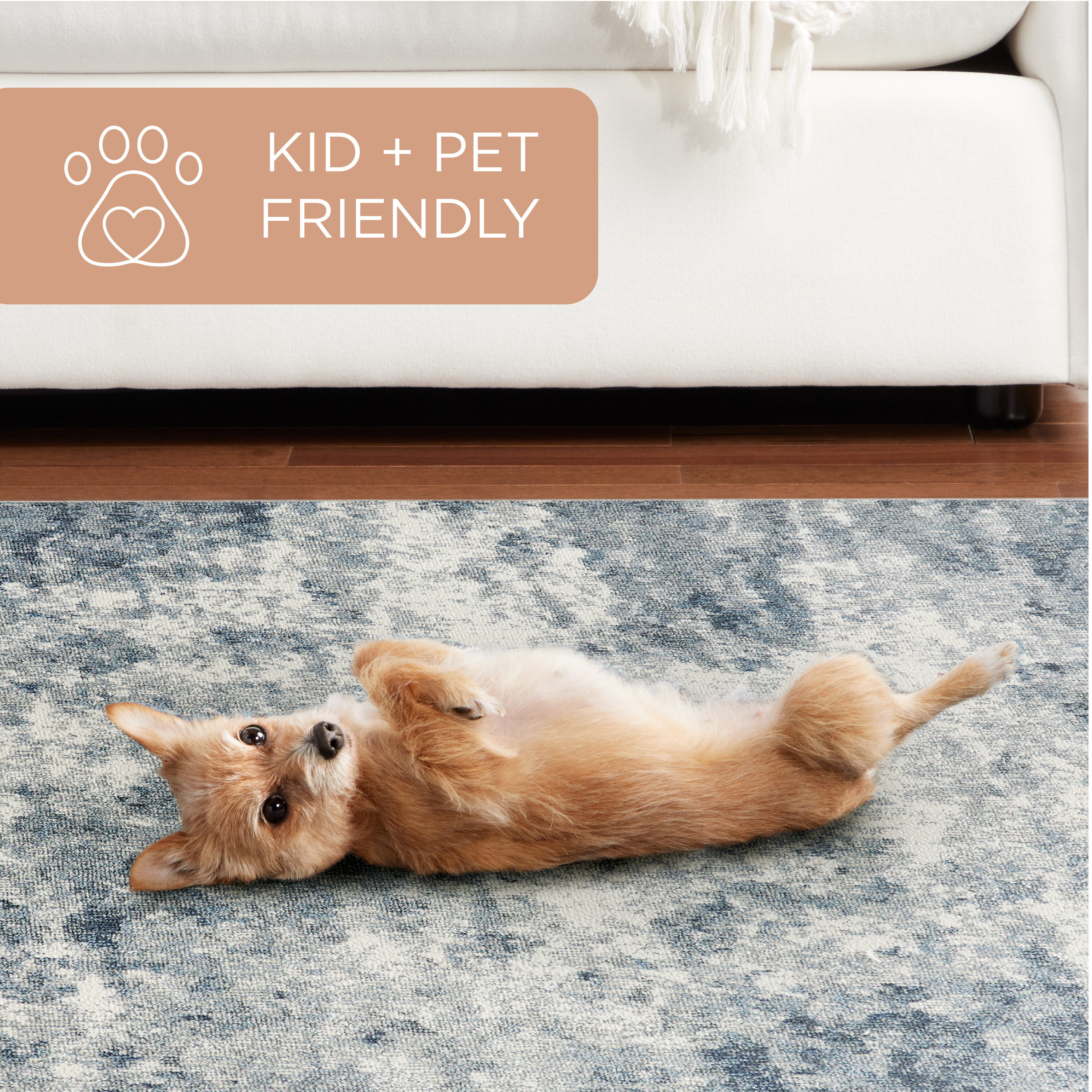 Town & Country Living 5-12-309 rugs - View #4