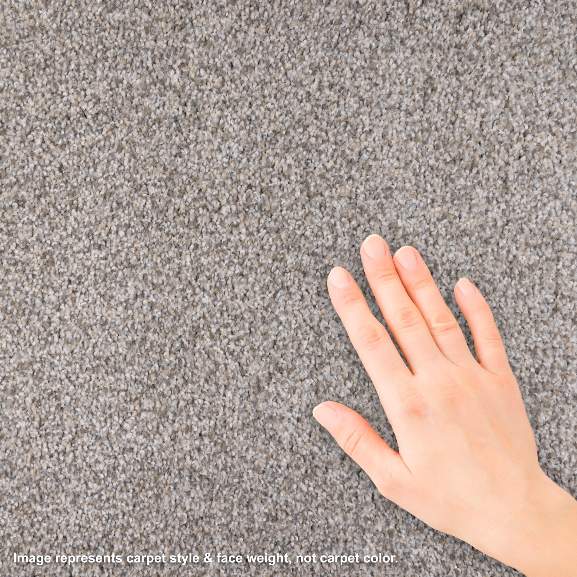 Style Selections L1002-255-0808 Carpet-Samples - View #3