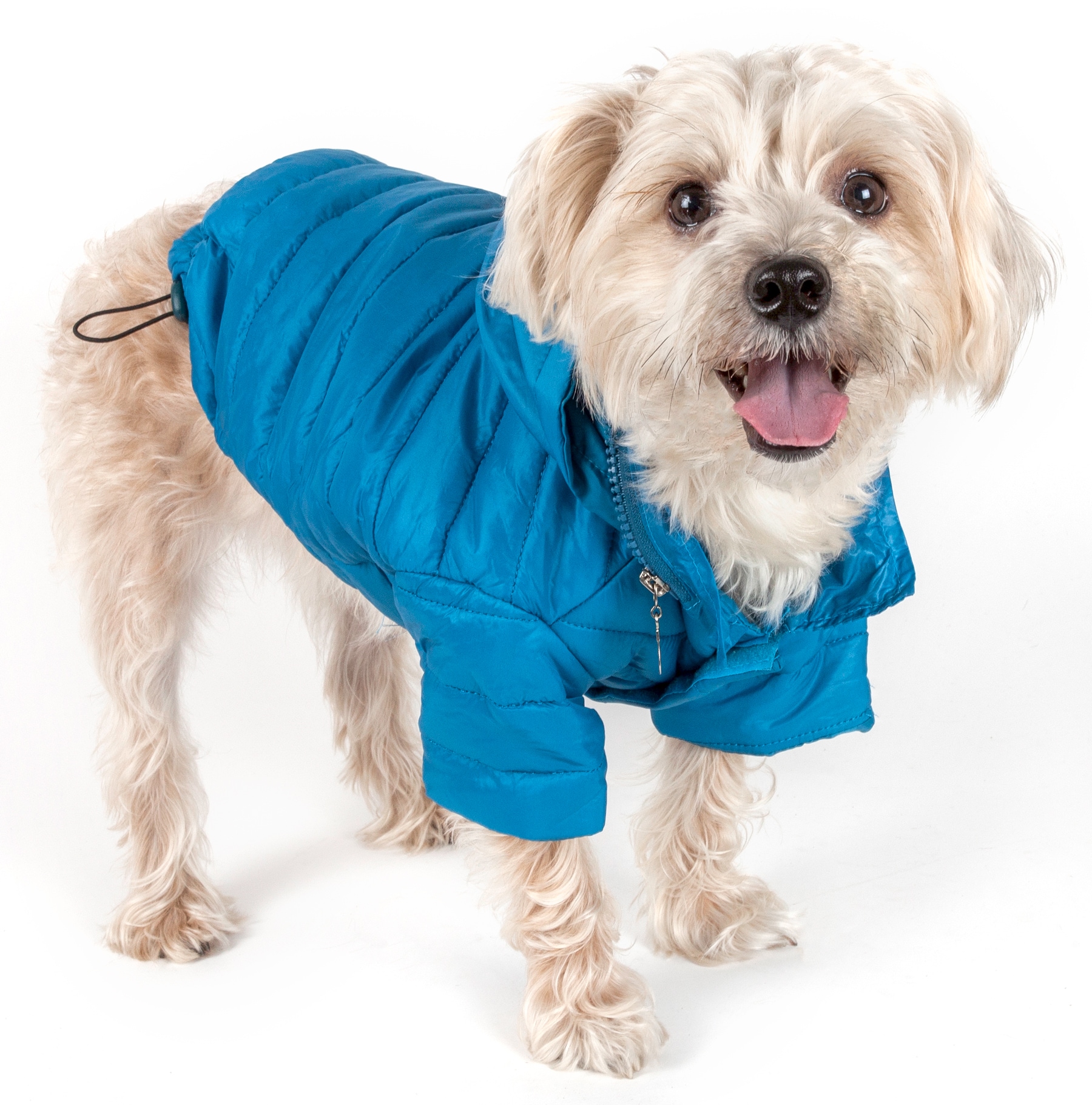 Pet Life Lightweight Adjustable 'Sporty Avalanche' Pet Coat - Blue, Medium,  Dog/Cat, Water Resistant, Machine Washable in the Pet Clothing department  at