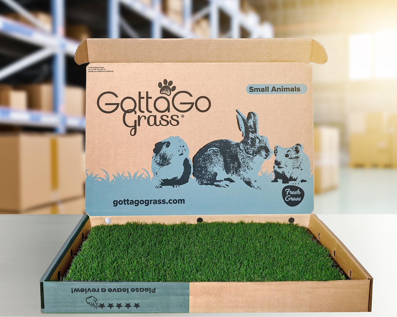 Gotta Go Grass GGGSML2NOTRAY sod - View #3