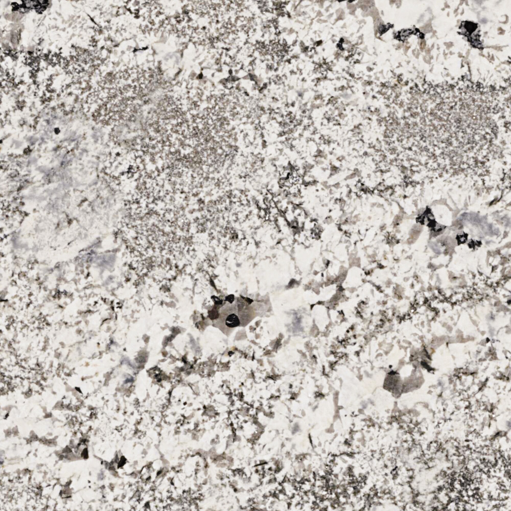 allen + roth Northern Ice Granite Gray Kitchen Countertop SAMPLE (3-in ...