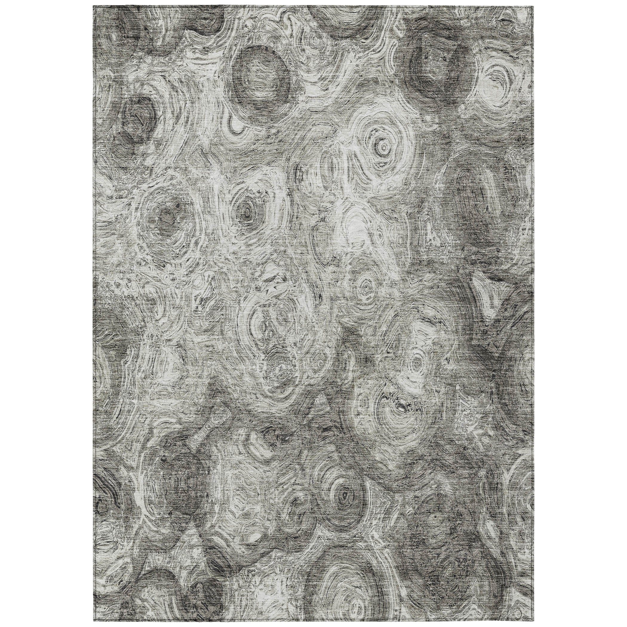 Addison Rugs ACN579SV3X5 rugs - View #2