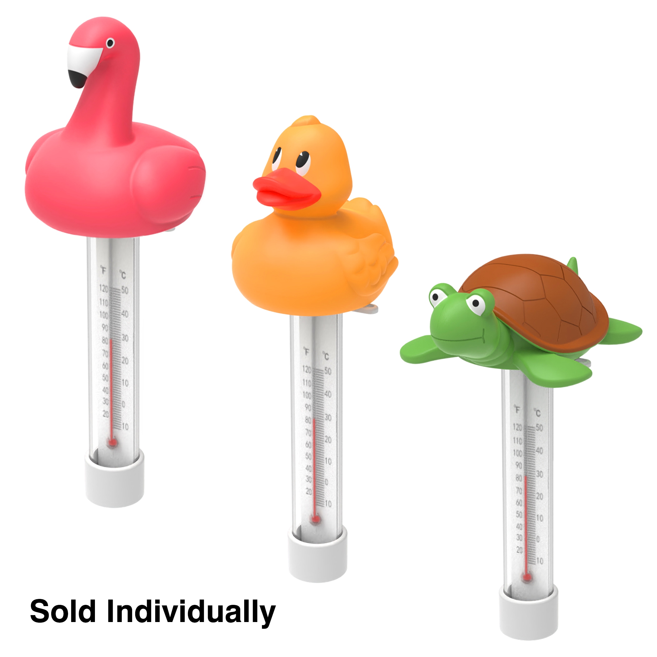 Pool Thermometers Brand Project Source