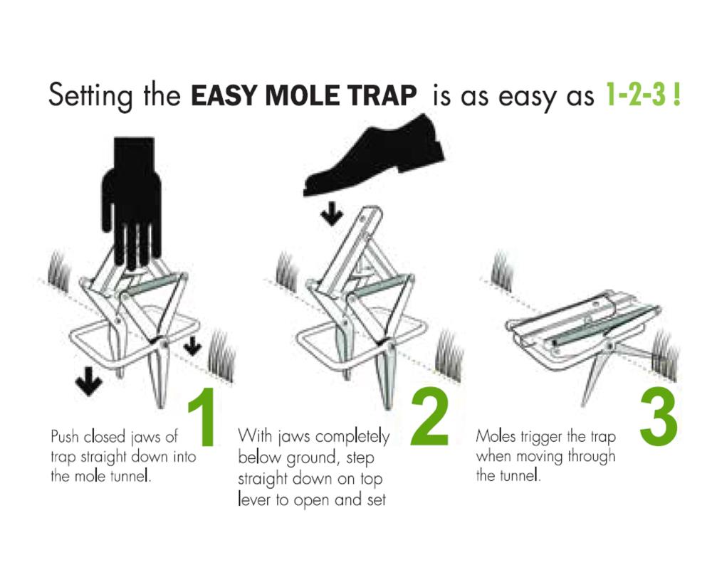 3 Easy DIY Bug Traps - Pest Control Unlimited