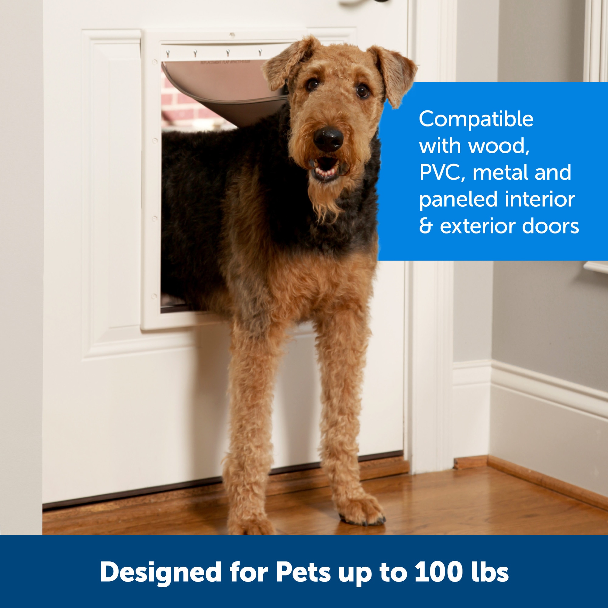 PetSafe 12 1 2 in x 19 3 4 in White Plastic Large Dog Cat Door for Entry Door in the Pet Doors department at Lowes