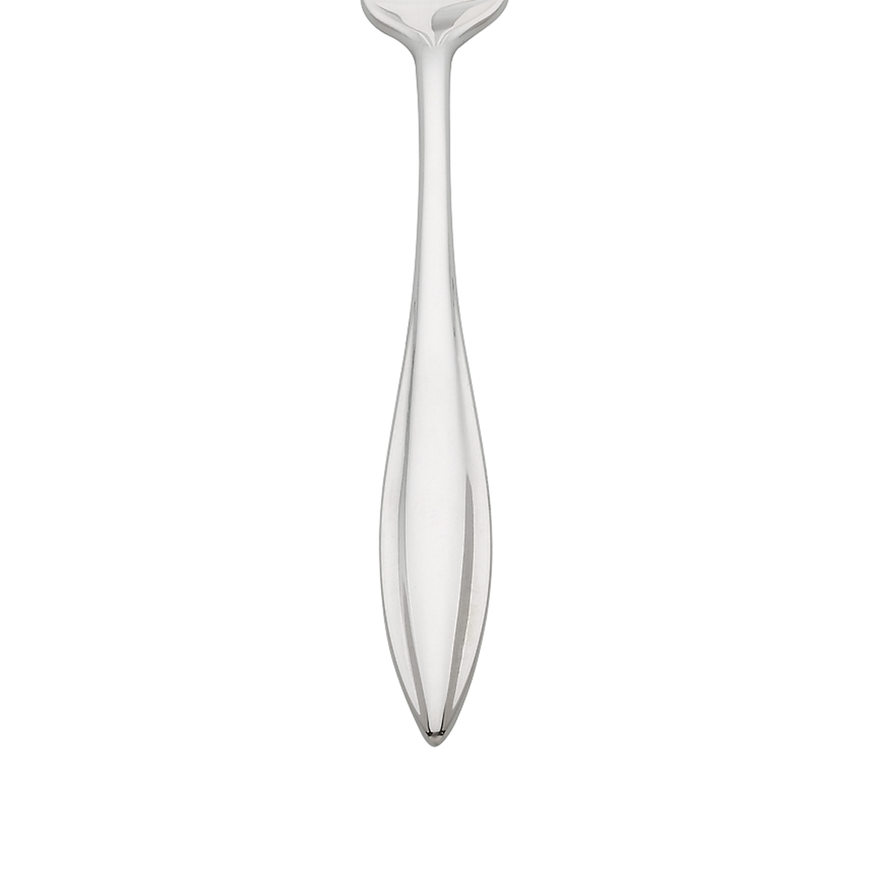 Modern Tarnish Resistant Stainless Steel Serving Spoon Set
