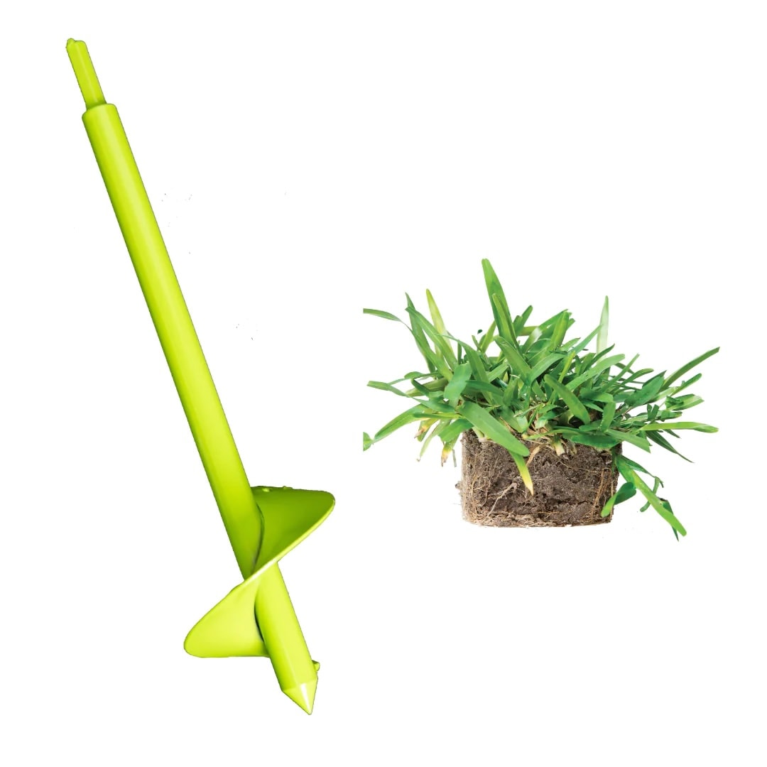 Bethel Farms BAUGT8PAL16 36-sq ft Natural St. Augustine Grass Sod Plug Lawn Repair SodPod ( Individual Piece Dimensions: 3-in x 3-in )