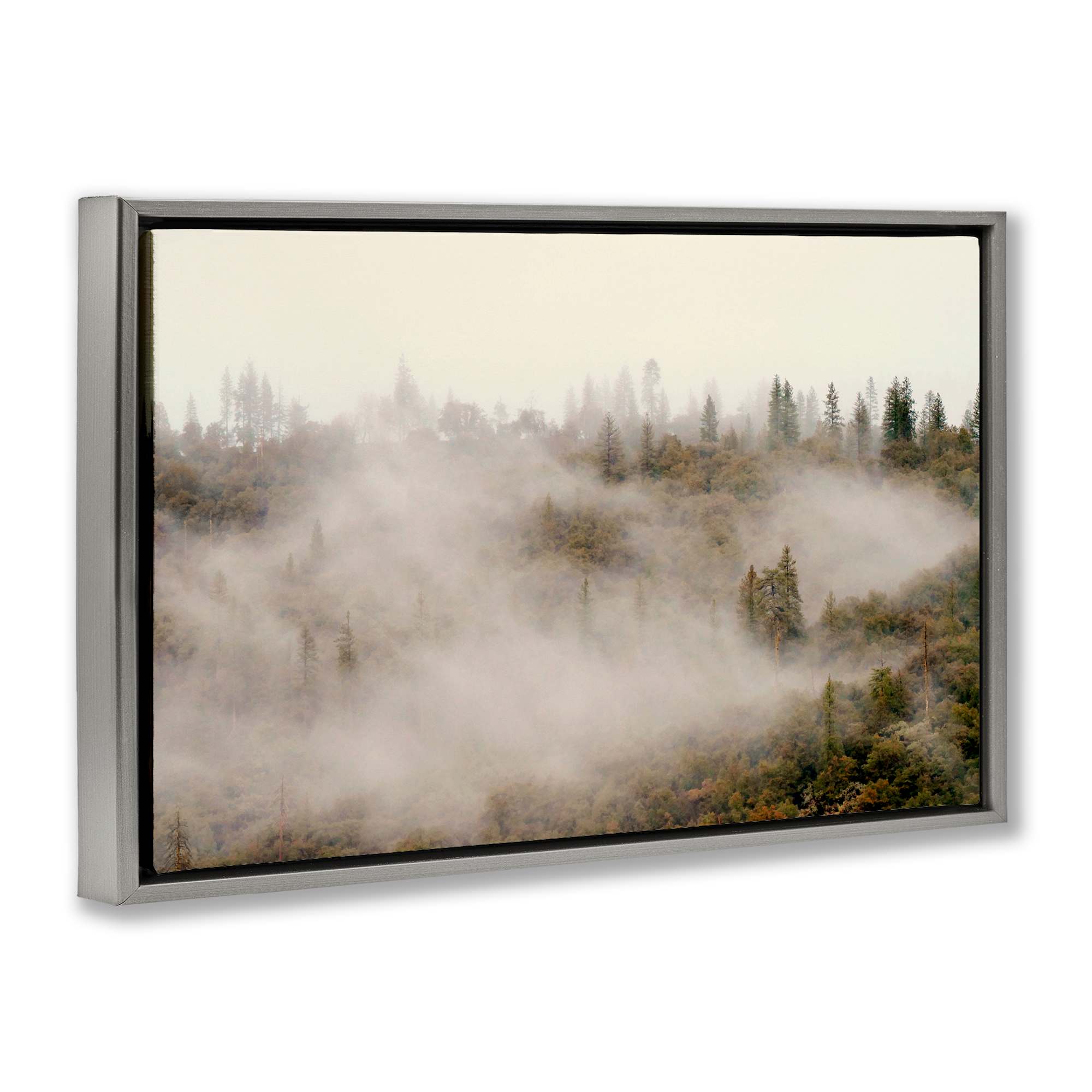 Stupell Industries BU-144-FFL-16X24 Wall-Art - View #2