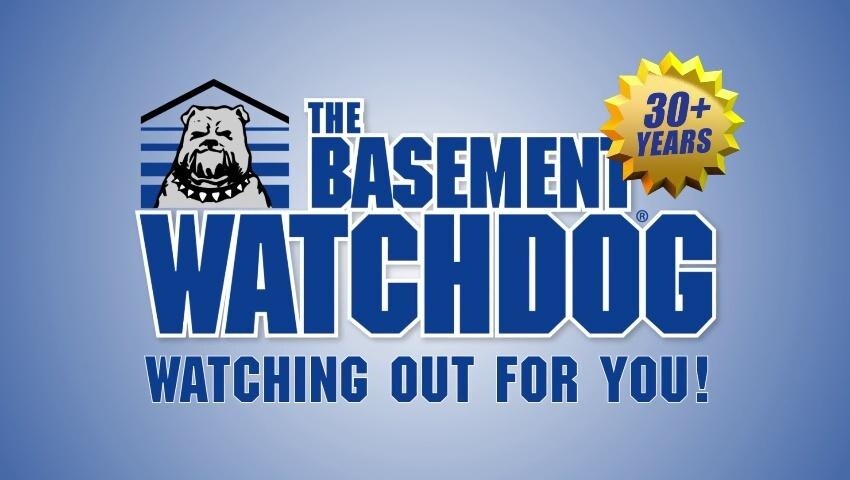 A thumbnail for the video