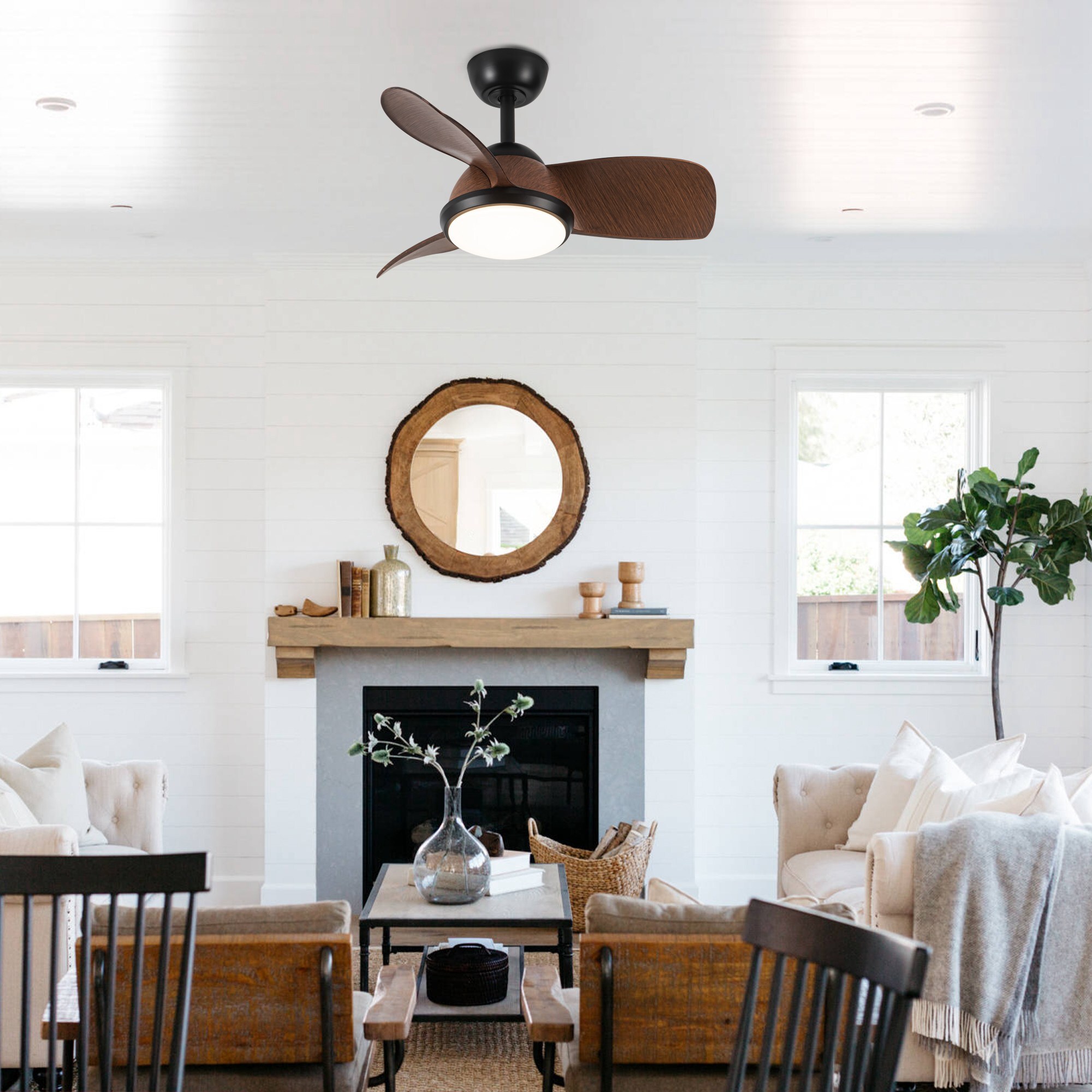 Parrot Uncle F6336BK110V Ceiling-Fans - View #4