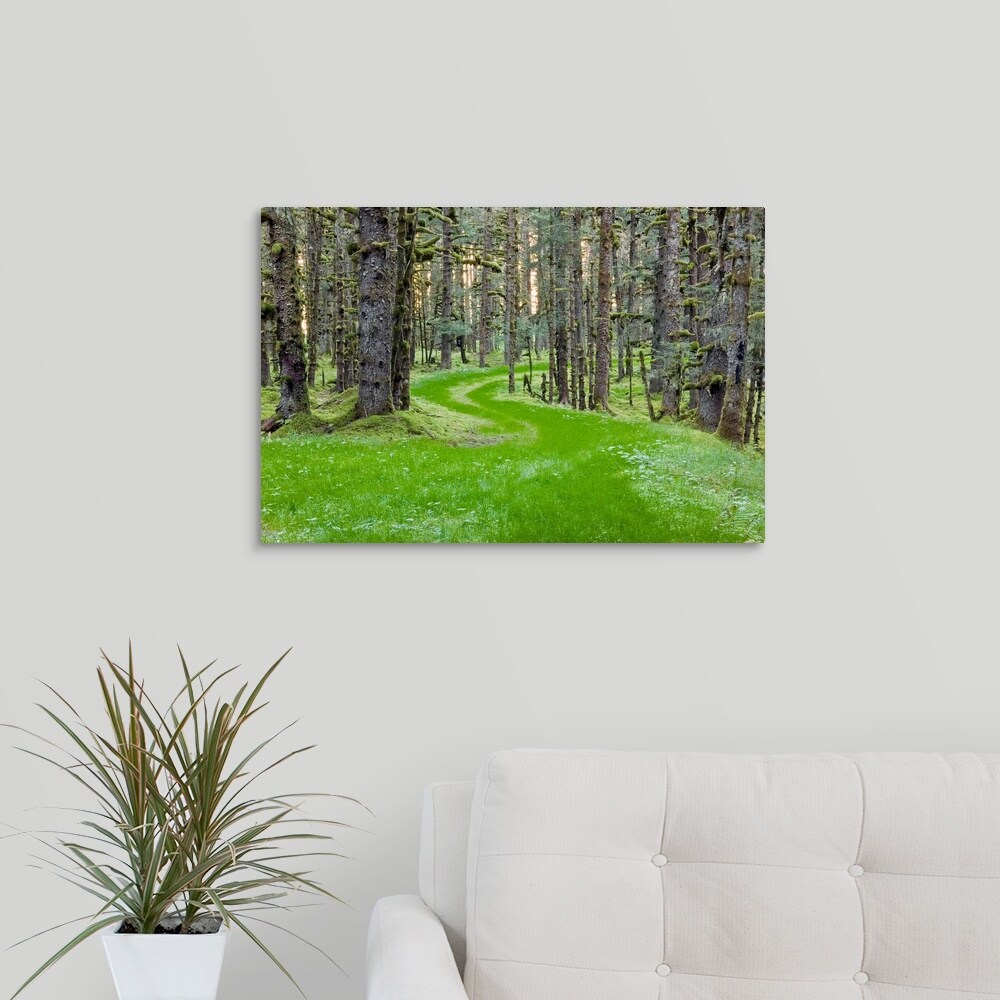 GreatBigCanvas Alaska Stock 16-in H x 24-in W Abstract Print on Canvas ...