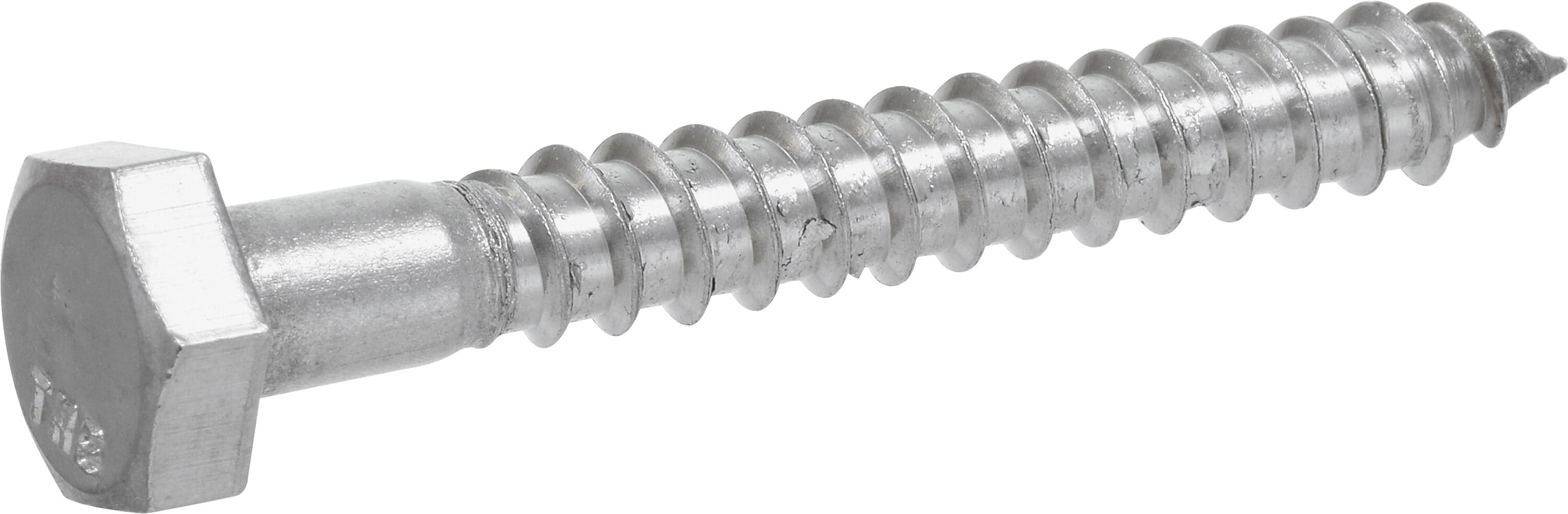 Hillman 5/16-in x 2-1/2-in Stainless Steel Hex Exterior Lag Screws