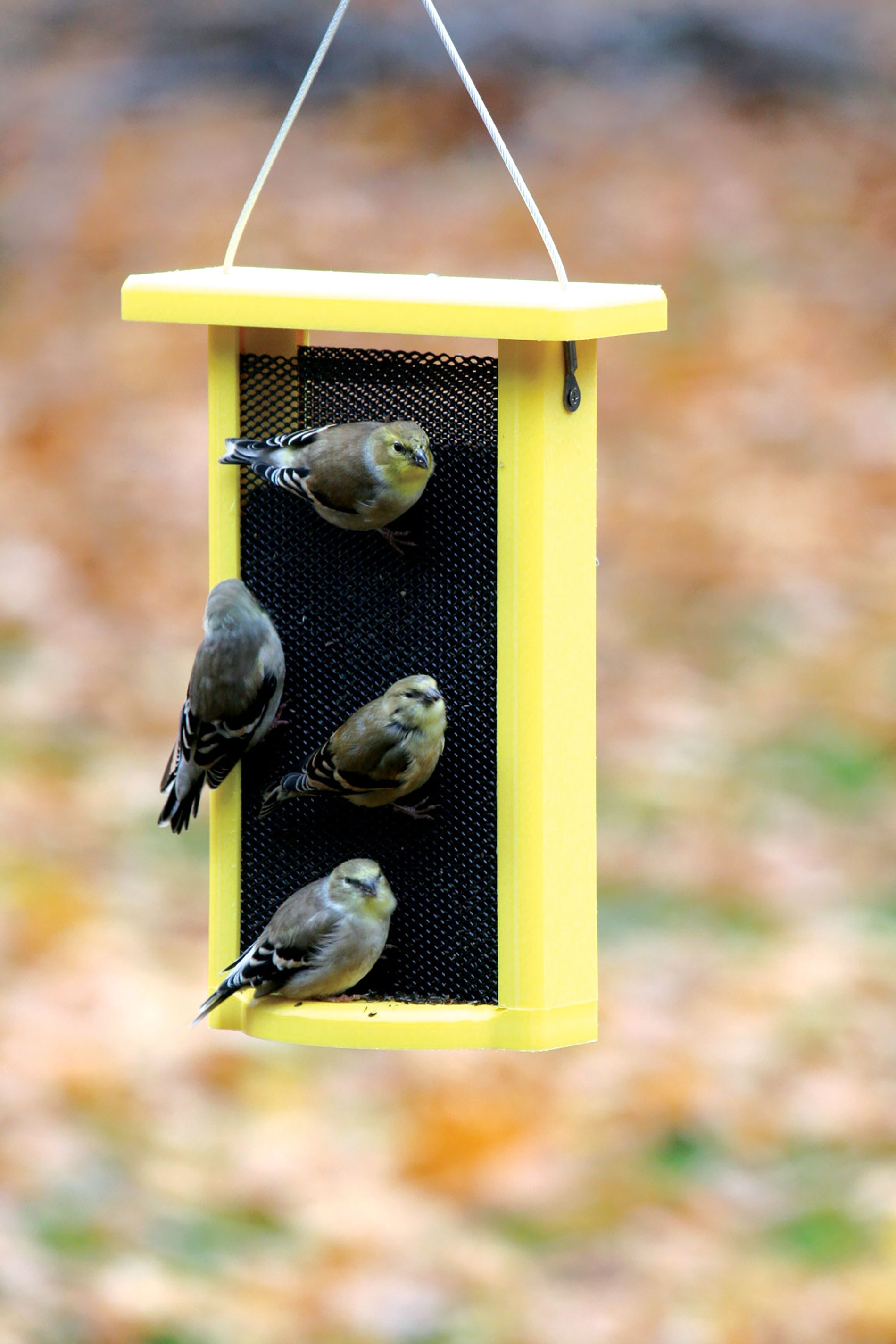 BIRDS CHOICE SN11NYJER Bird-Feeders - View #3