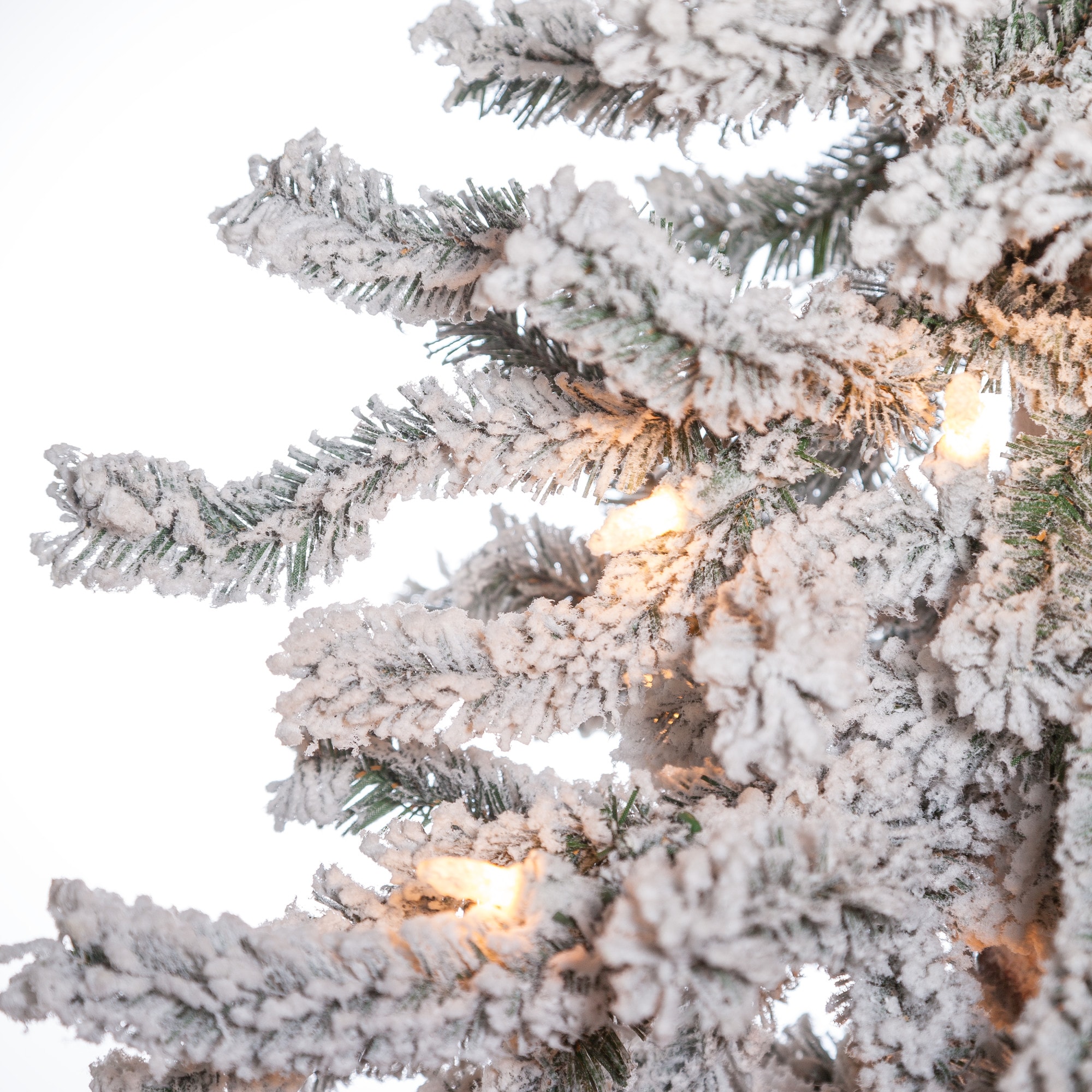 Sterling Tree Company 5814-50C  - View #5