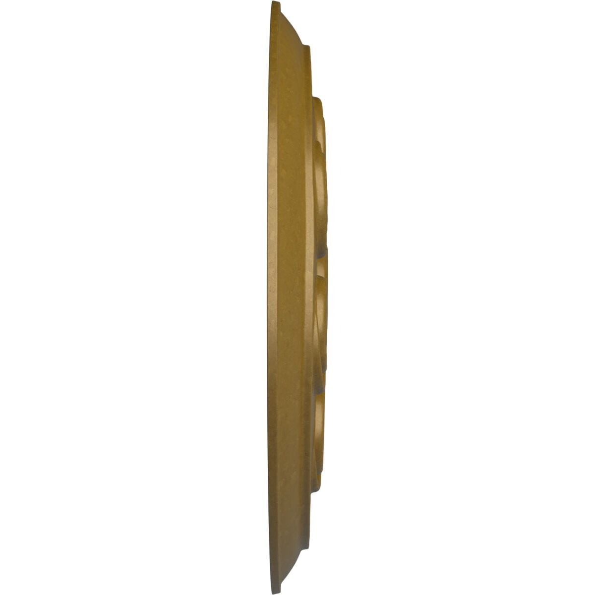 Ekena Millwork CM25SPGLS Ceiling-Medallions - View #3