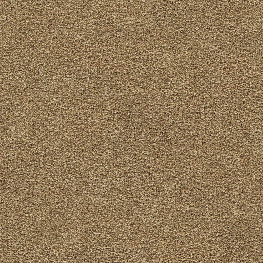 STAINMASTER STP36-L005-0808 (Sample) Uptown trend III Corinthian Brown 58-oz sq yard Polyester Textured Indoor Carpet