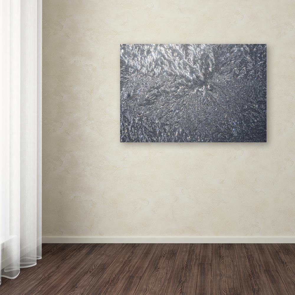 Trademark Fine Art KS01100-C3047GG Wall-Art - View #3