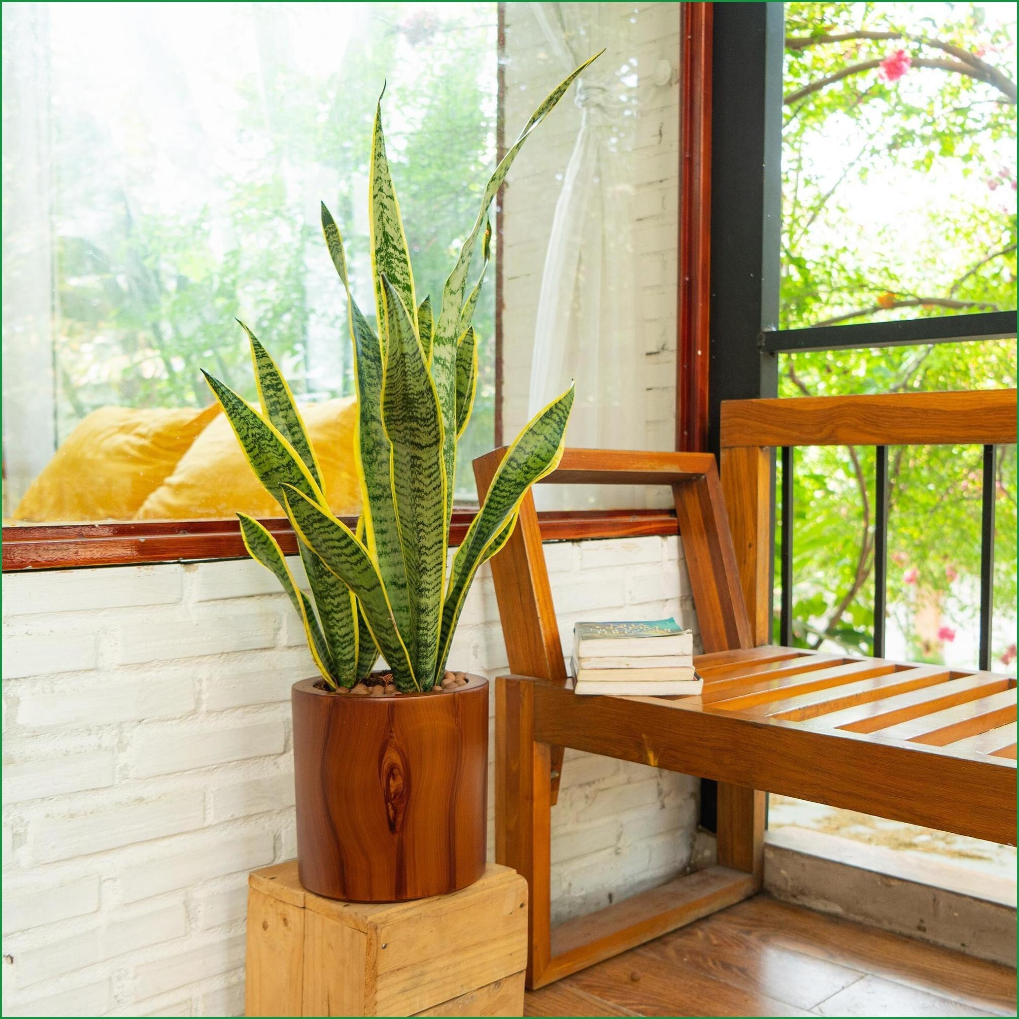 Watnature 5M0IAKPB61X9 Planter-Window-Box - View #7