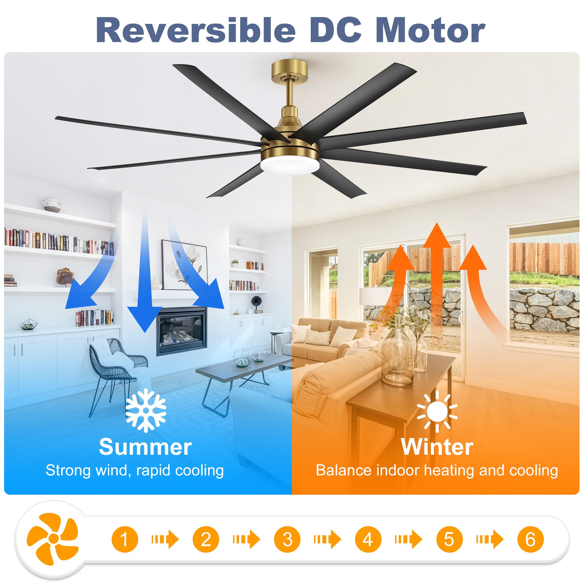 WindPhoto AS23012-BLK-T Ceiling-Fans - View #4