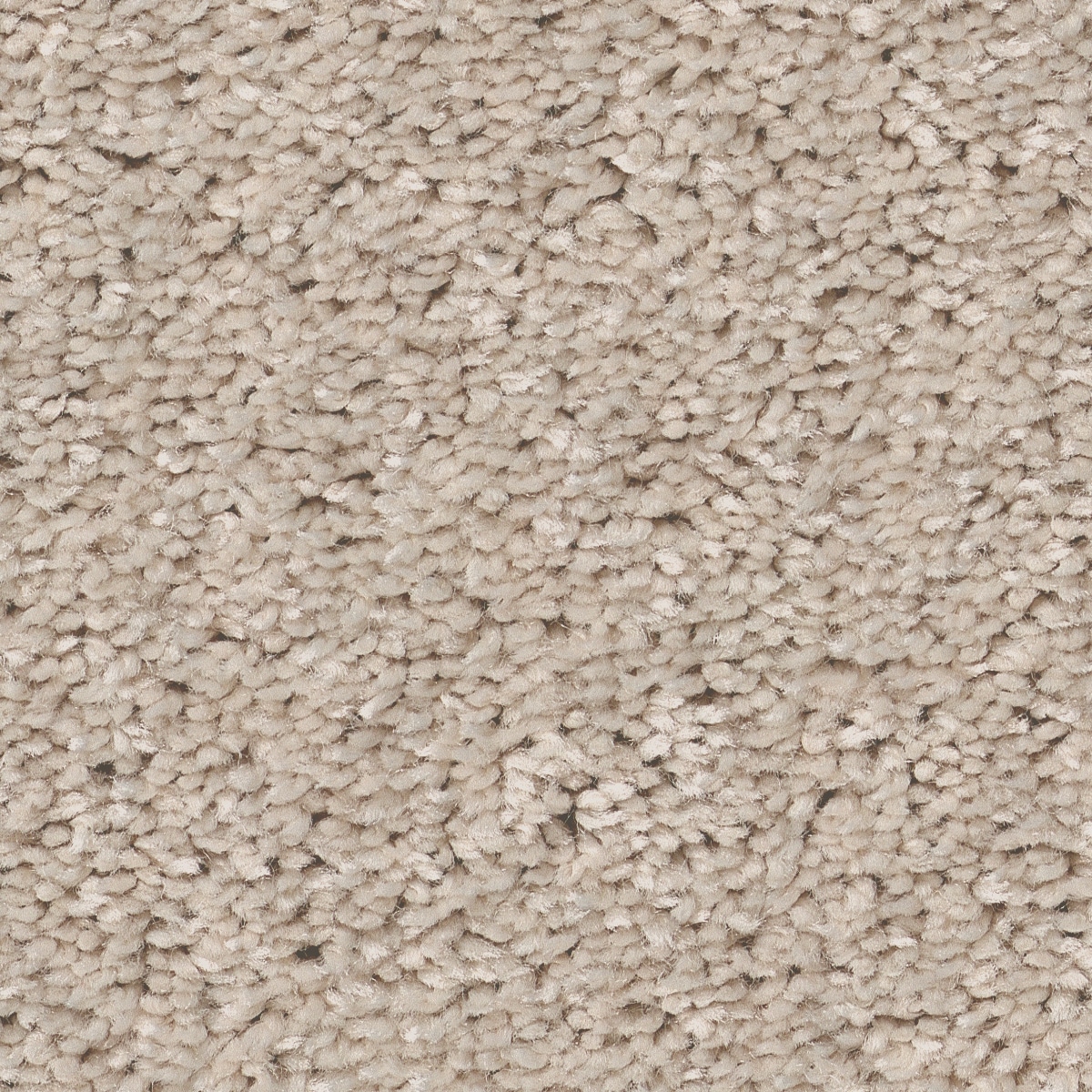 Style Selections 7L84700102 Dialed In II Angel Cloud Tan 35-oz sq yard Polyester Textured Indoor Carpet