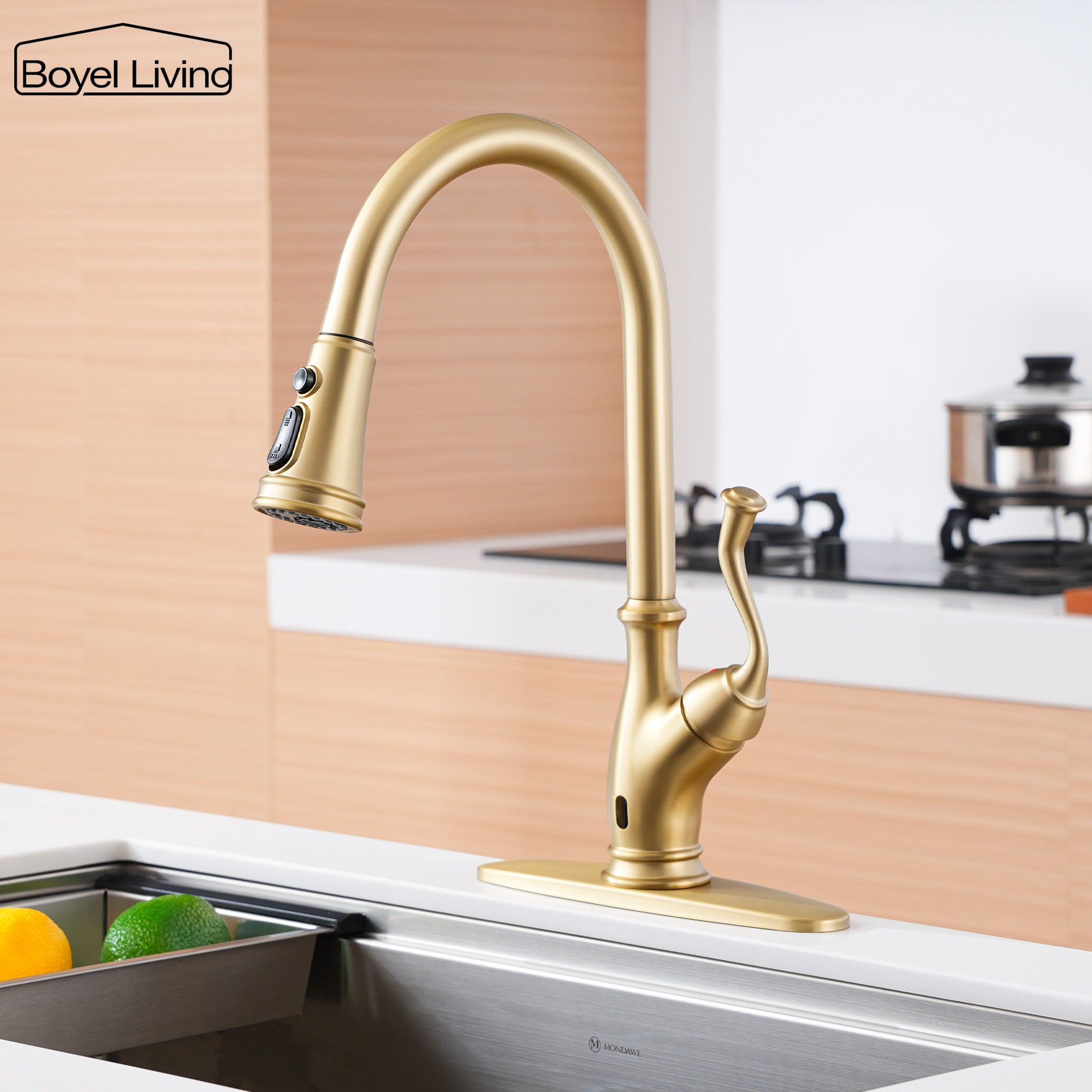 Boyel Living BL-APS175TL-BTG Kitchen-Faucets - View #4