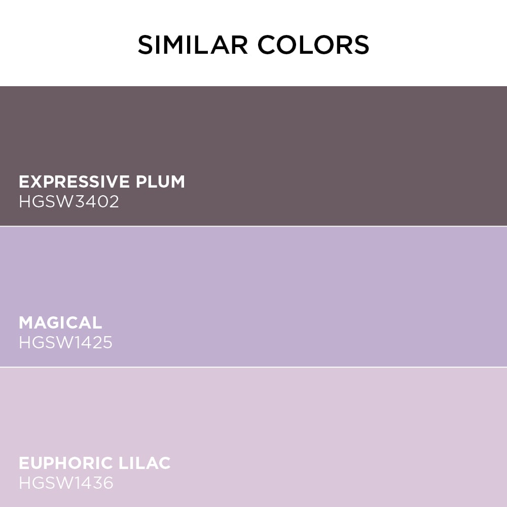 Valspar 1004-5C Amethyst Purple Precisely Matched For Paint and