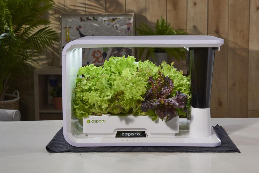 aspara GS1003-W Hydro-Systems - View #2