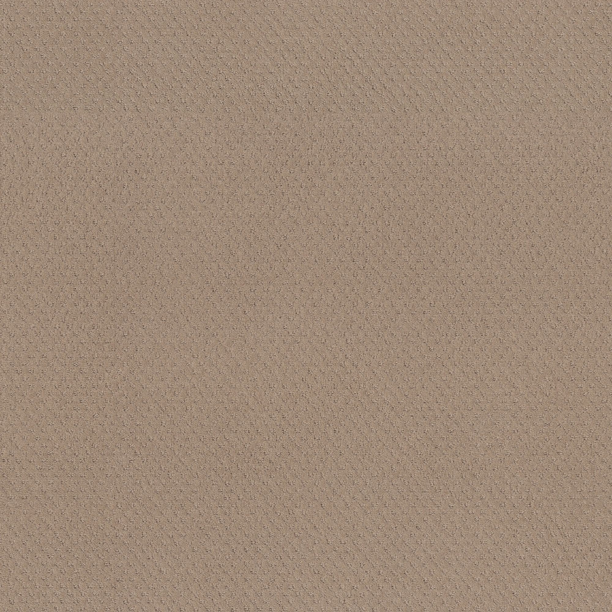 STAINMASTER PetProtect 7L899 - 154 - SAMP (Sample) Pawsitivity Spanish Sand Brown 29.2-oz sq yard Nylon Pattern Indoor Carpet