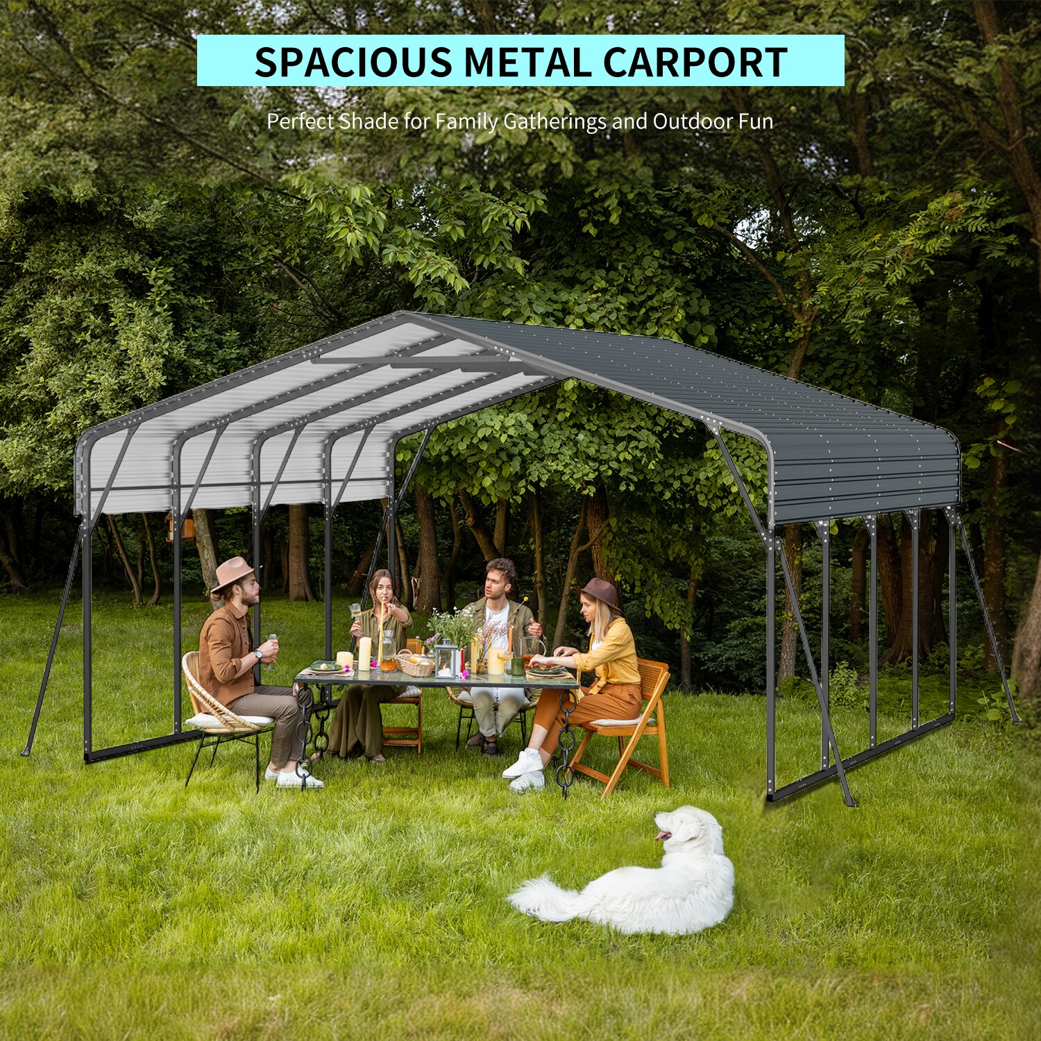 LUXEYARD DS-Y-W2556-P266777 Carport-Covers - View #3