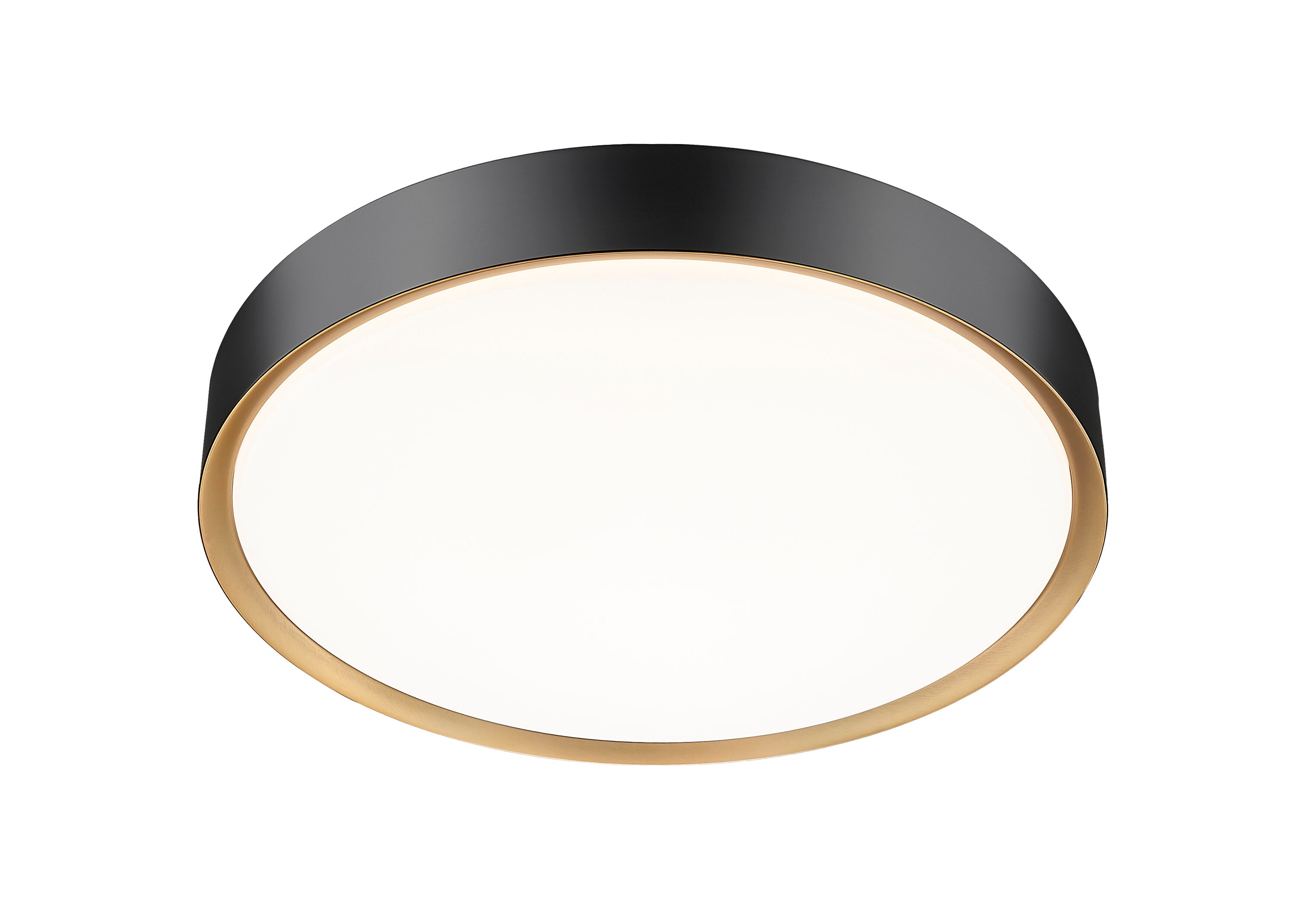 Z-Lite 1014F20-MB-MGLD-LED flushmounts - View #5