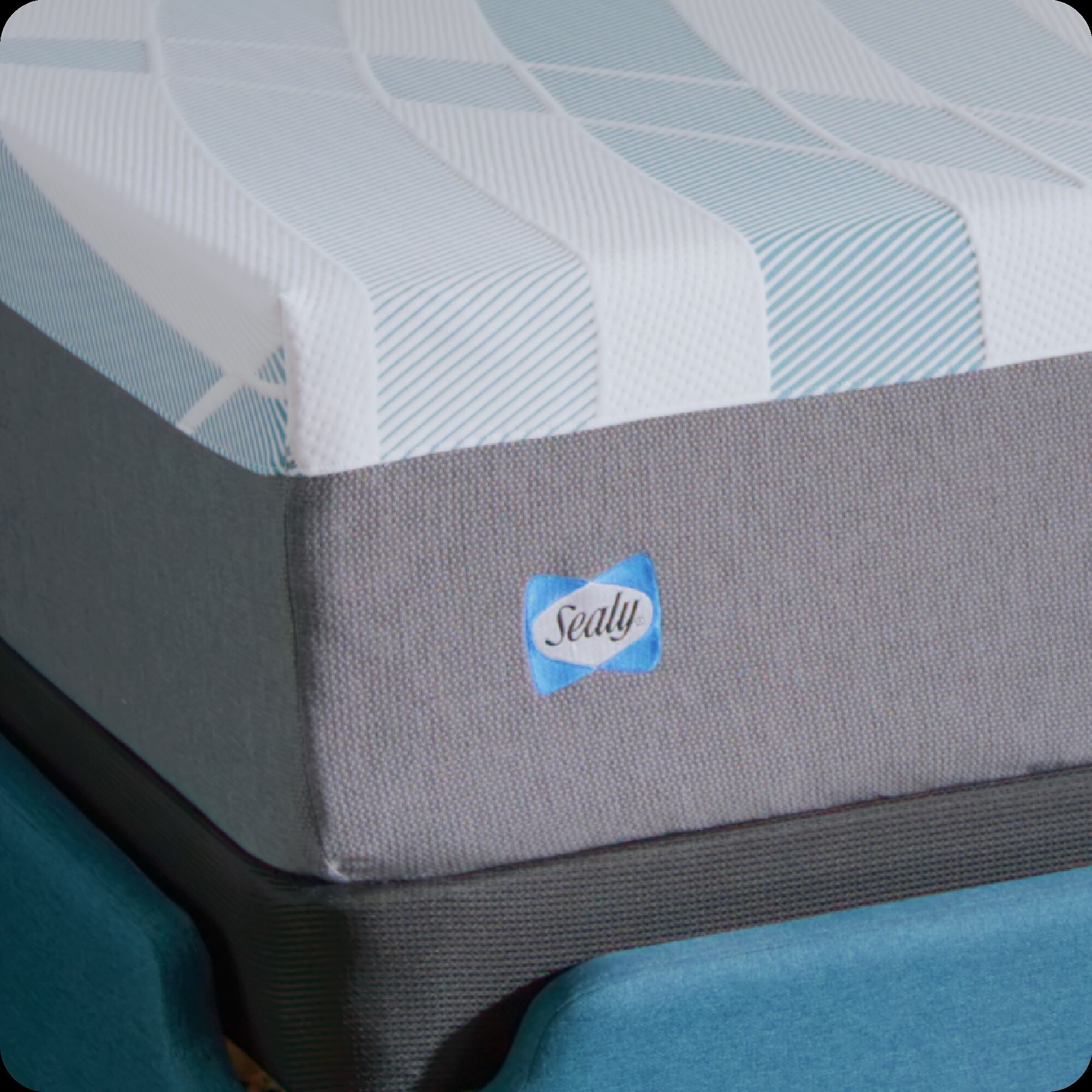 Sealy F03-00240-KG0 Mattresses-Boxsprings - View #5