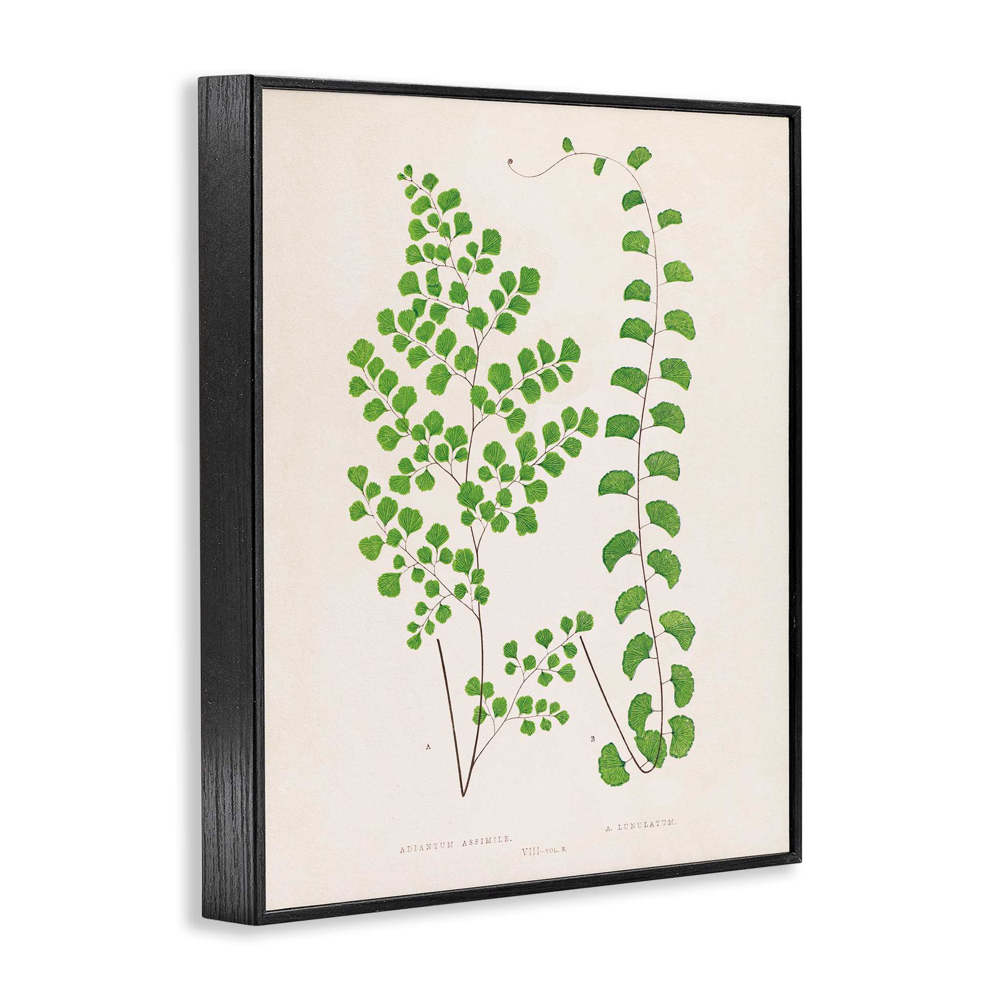 Stupell Industries BT-465-FR-16X20 Wall-Art - View #2