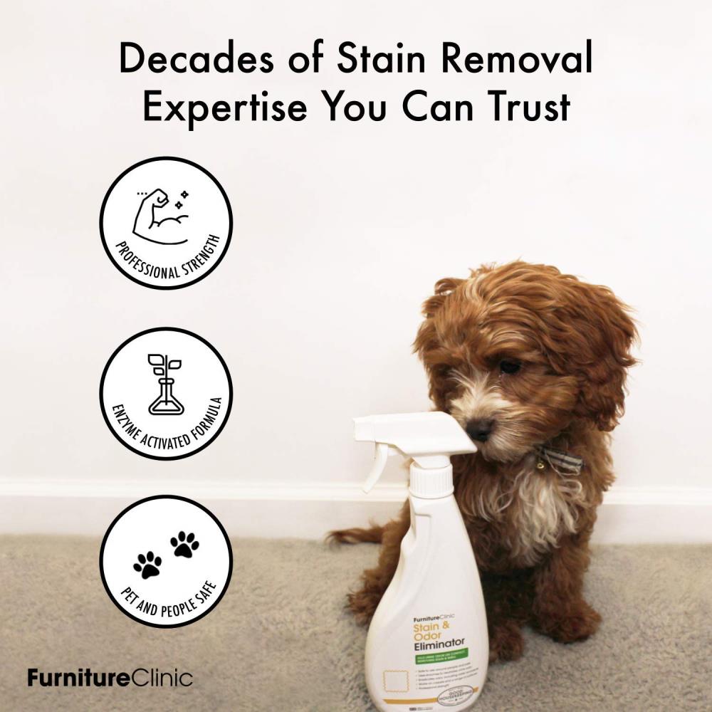 FurnitureClinic 34 oz. Stain and Odor Eliminator