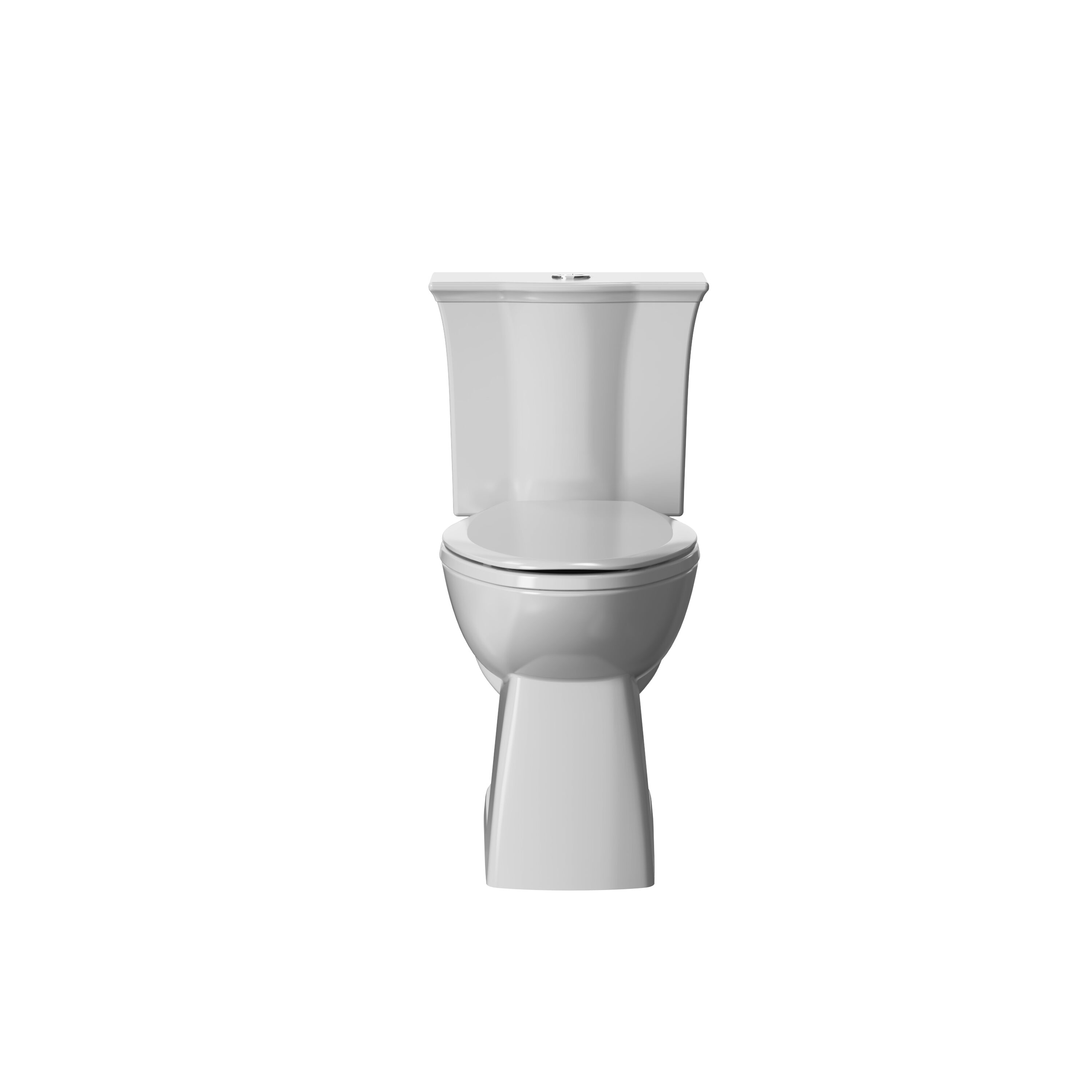 Project Source MT-20210D Palazzo White Dual Flush Elongated Chair height Soft Close 2-piece Toilet 12-in Rough-In WaterSense 1.6 GPF