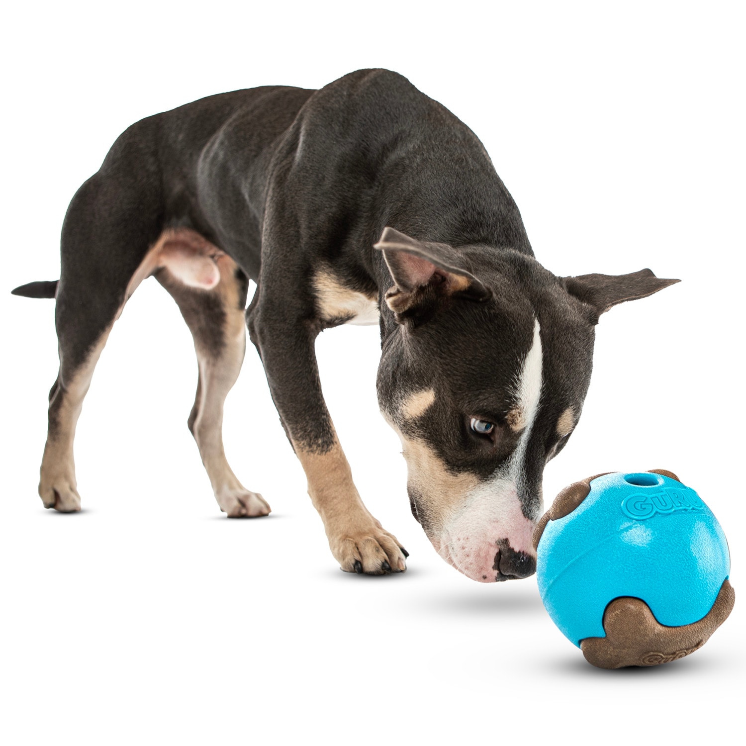 GURU G0850048425200 Dog-Toys - View #8