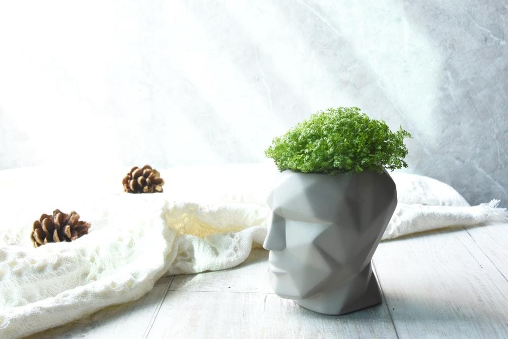 Modeno EN-MF2193S Planter-Window-Box - View #4