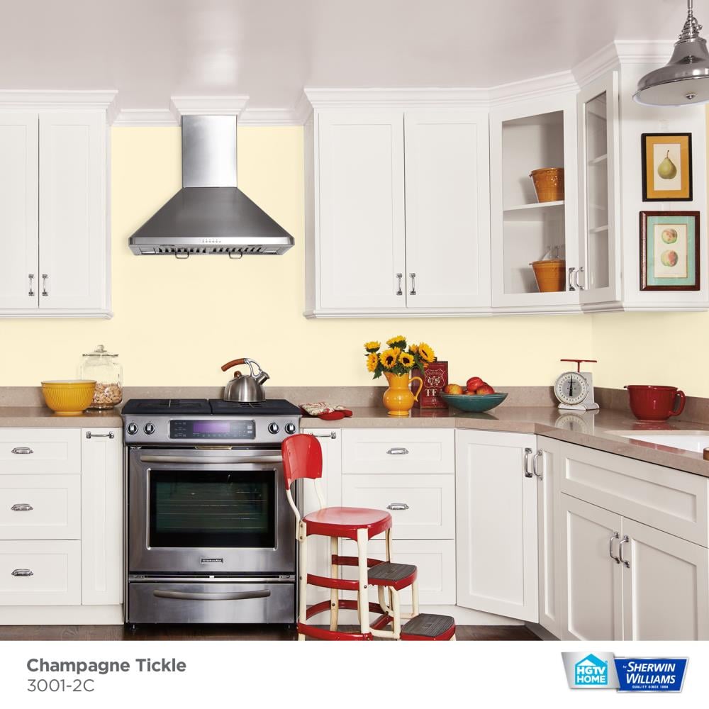 HGTV HOME by Sherwin-Williams 3001-2C-2557201 Int-Ext-Paint - View #2