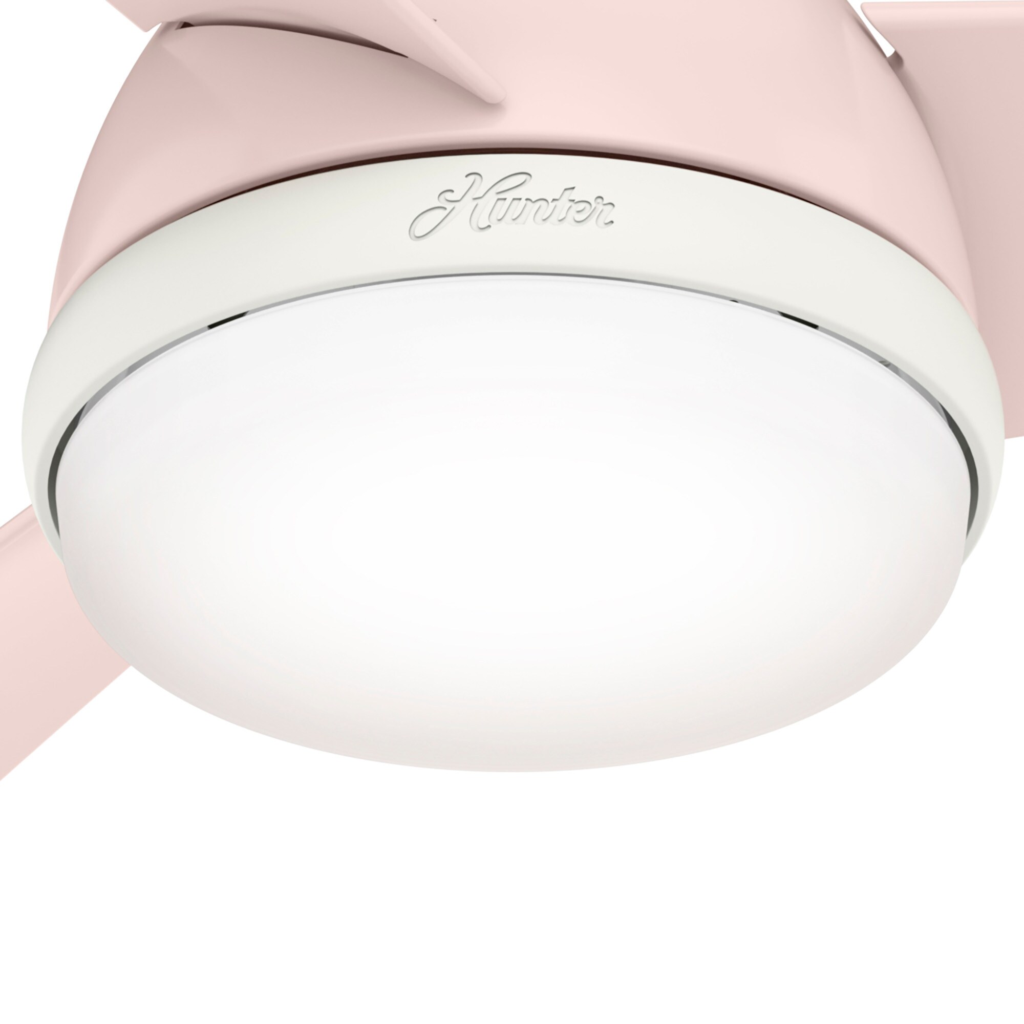 Hunter 51850 Ceiling-Fans - View #10