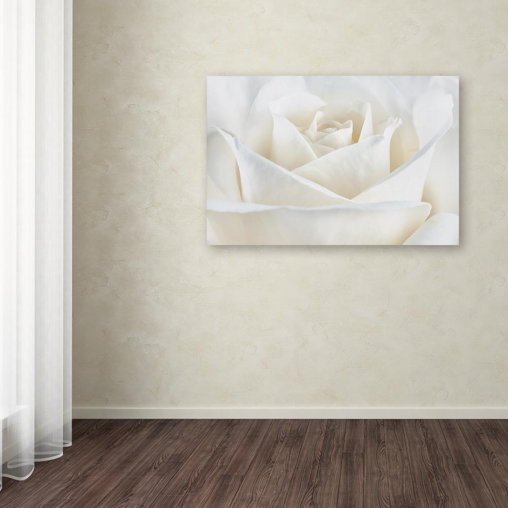 Trademark Fine Art Framed 12-in H x 19-in W Floral Print on Canvas Cora ...