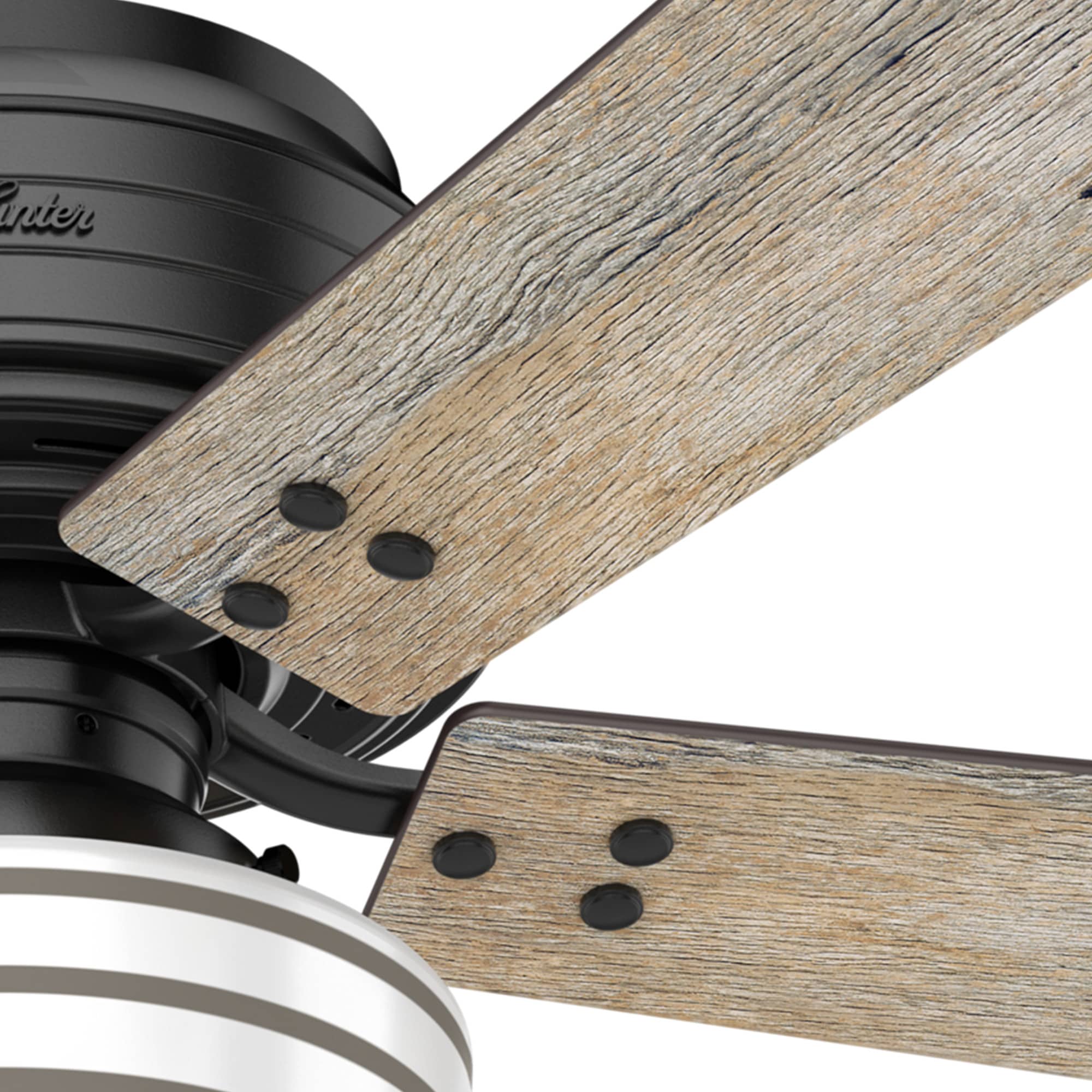 Hunter 55080 Ceiling-Fans - View #19
