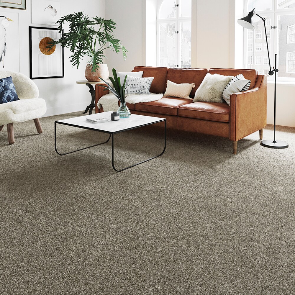 STAINMASTER STP58-L012-0808 Carpet-Samples - View #3