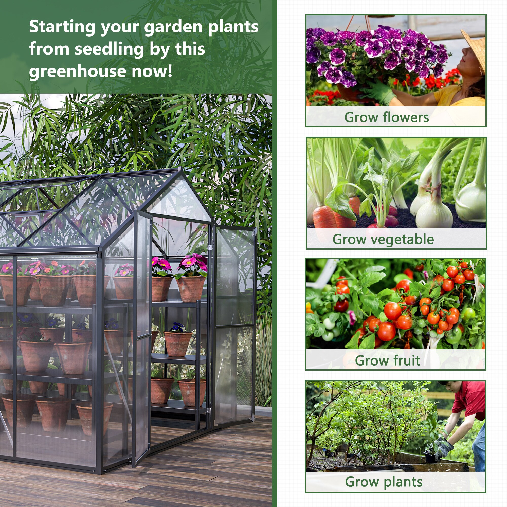 BABOOM BOM-S00057-OR greenhouses - View #8