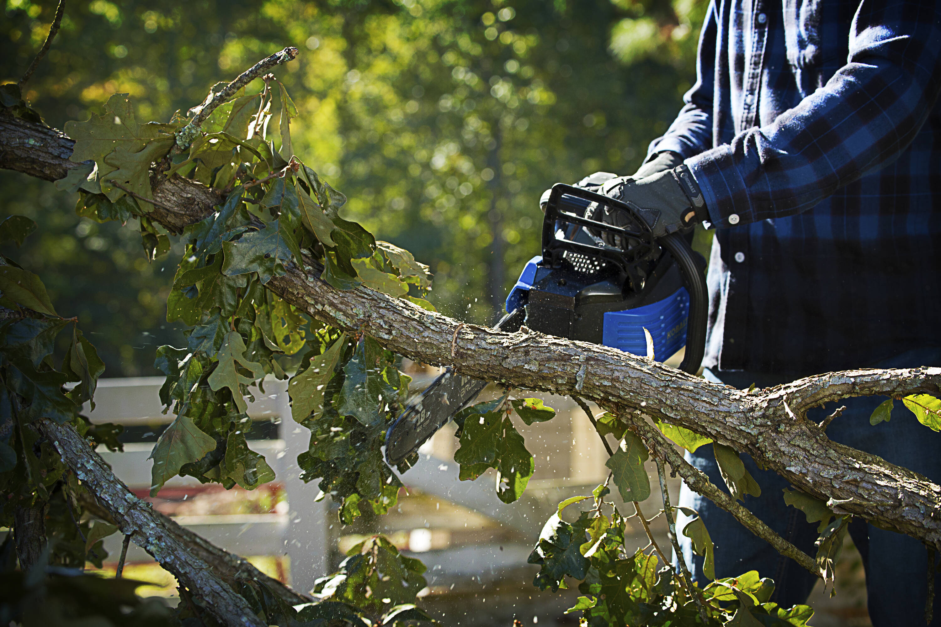 Kobalt 80v deals chainsaw oil