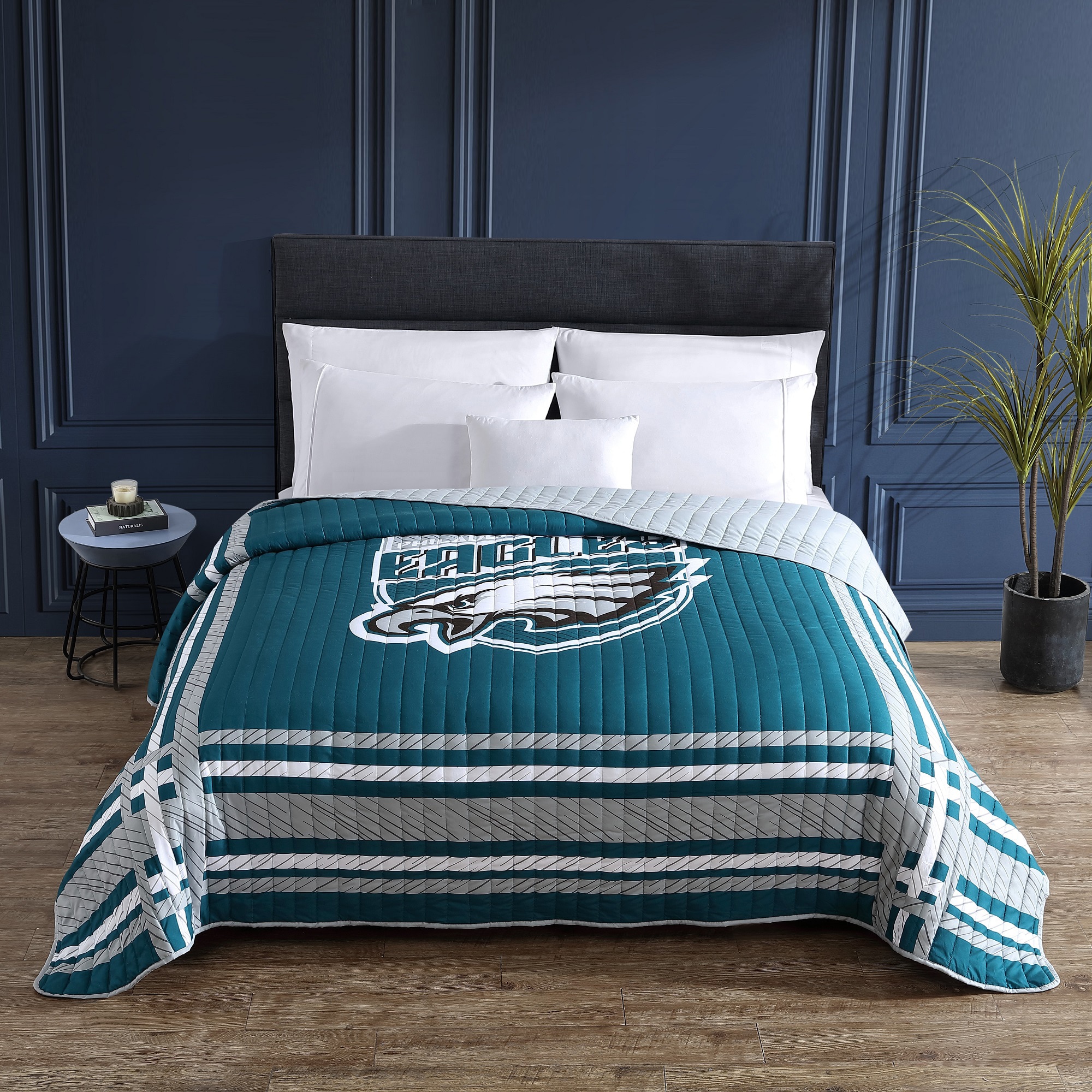 Official Philadelphia Eagles Bed & Bath Supplies, Eagles Bedding