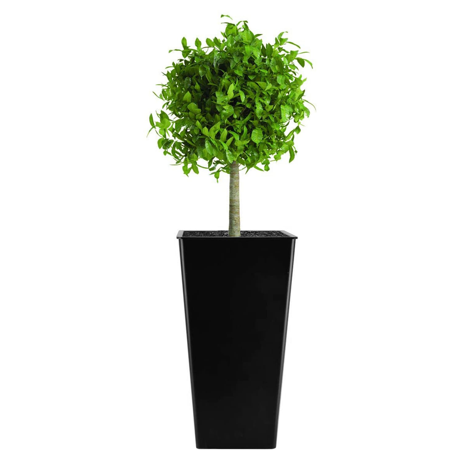 The HC Companies 225640 Planter-Window-Box - View #2