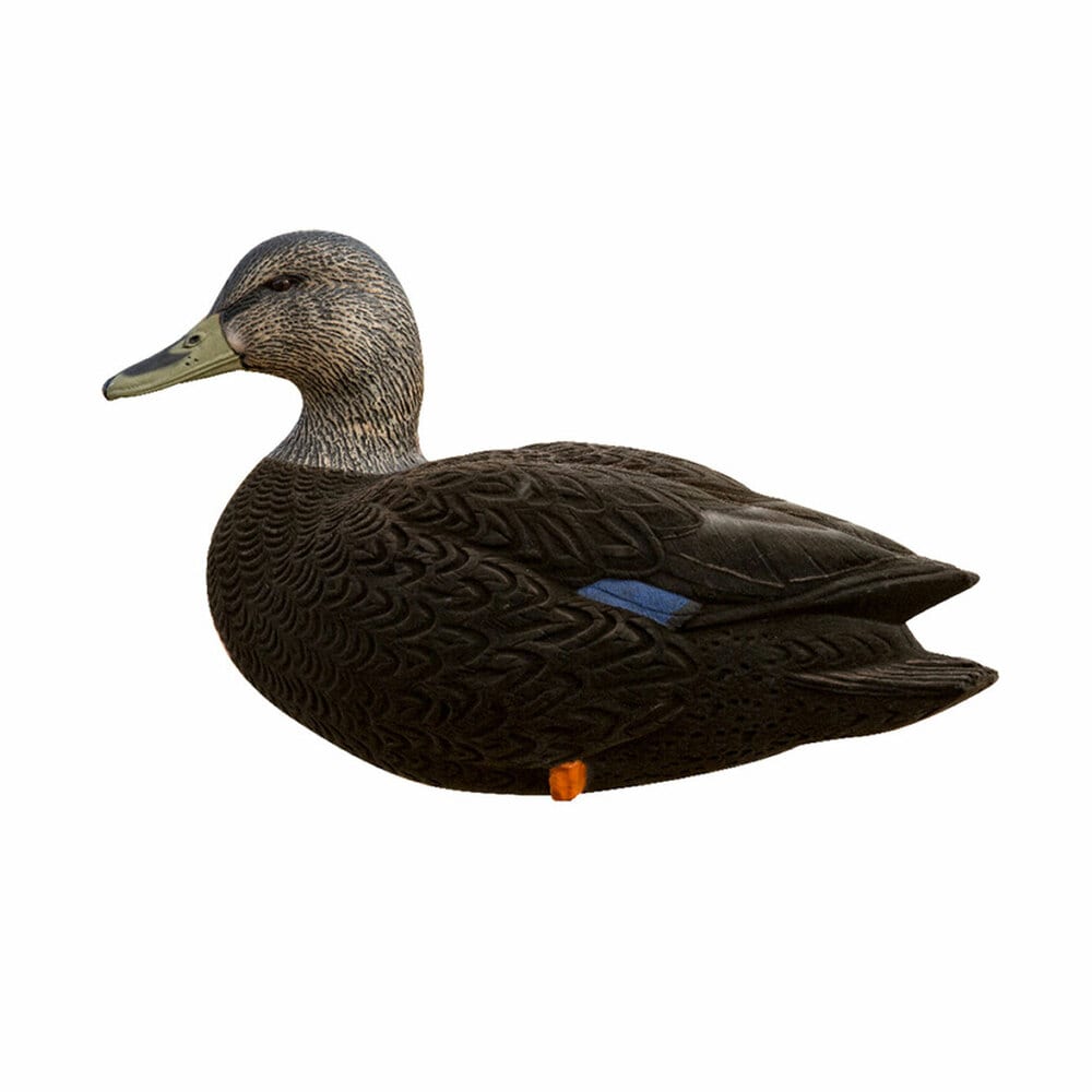  Avian X 408520 Hunting-Equipment - View #9