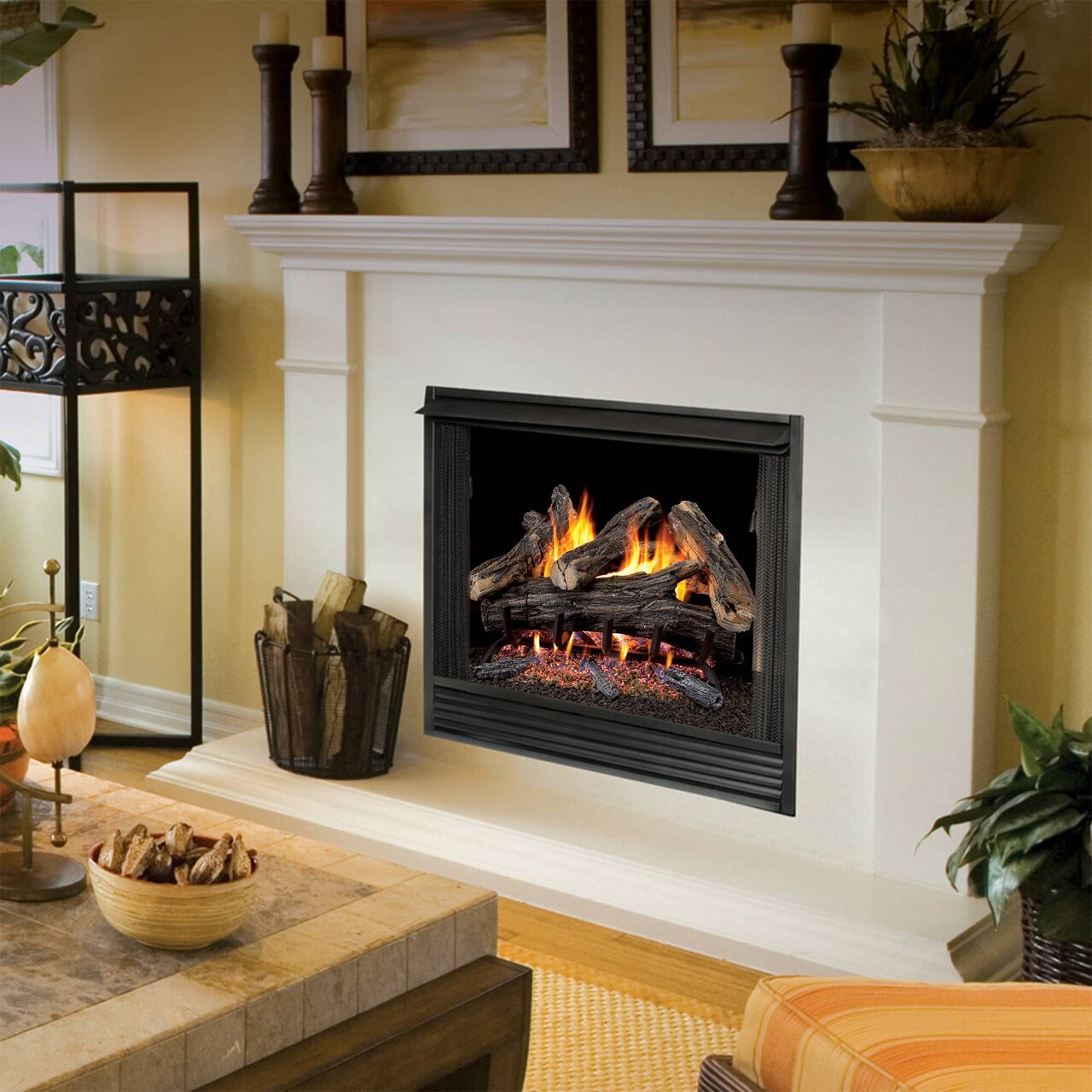 ProCom WAN24N-2 Gas-Logs - View #2