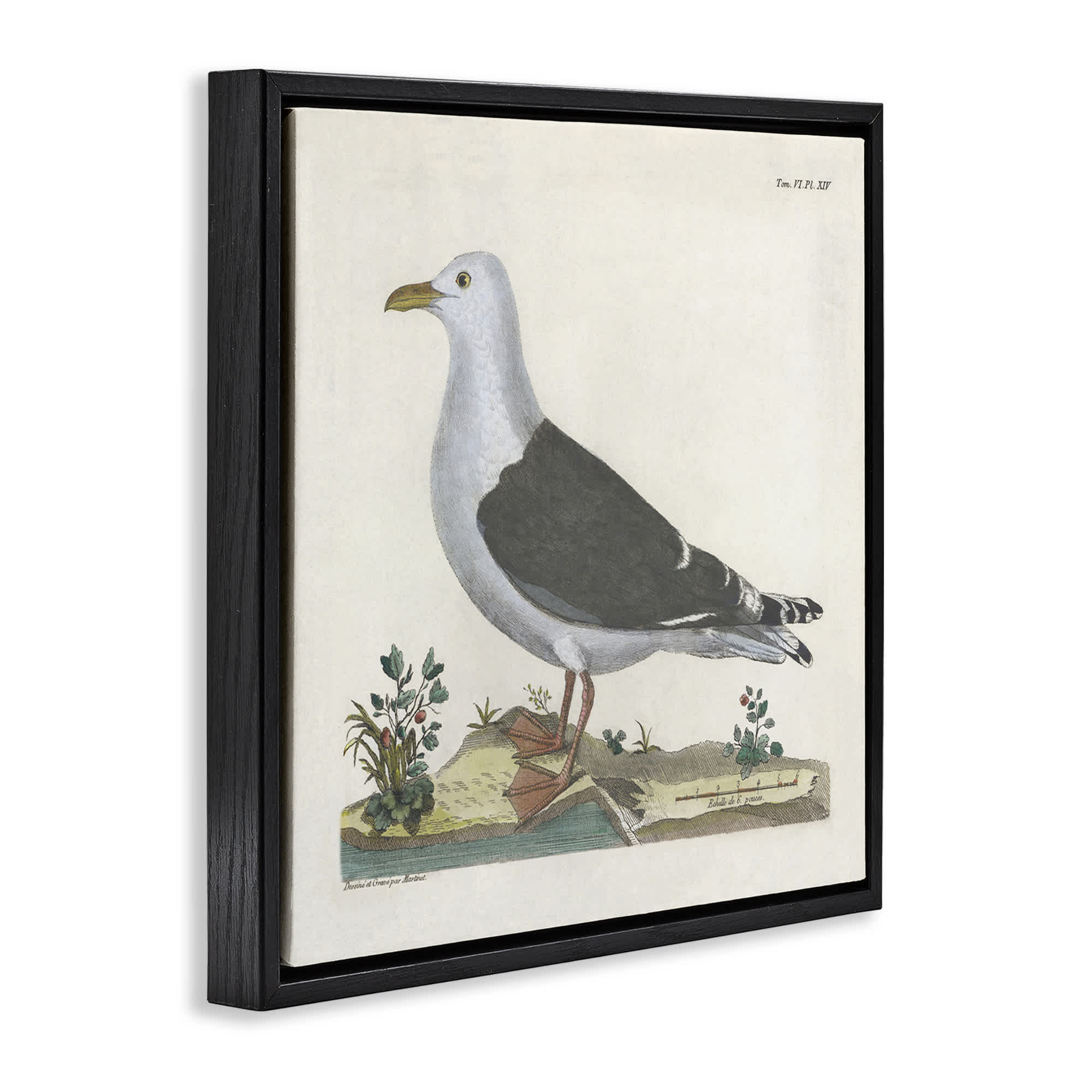 Stupell Industries BT-458-FFB-24X24 Wall-Art - View #2