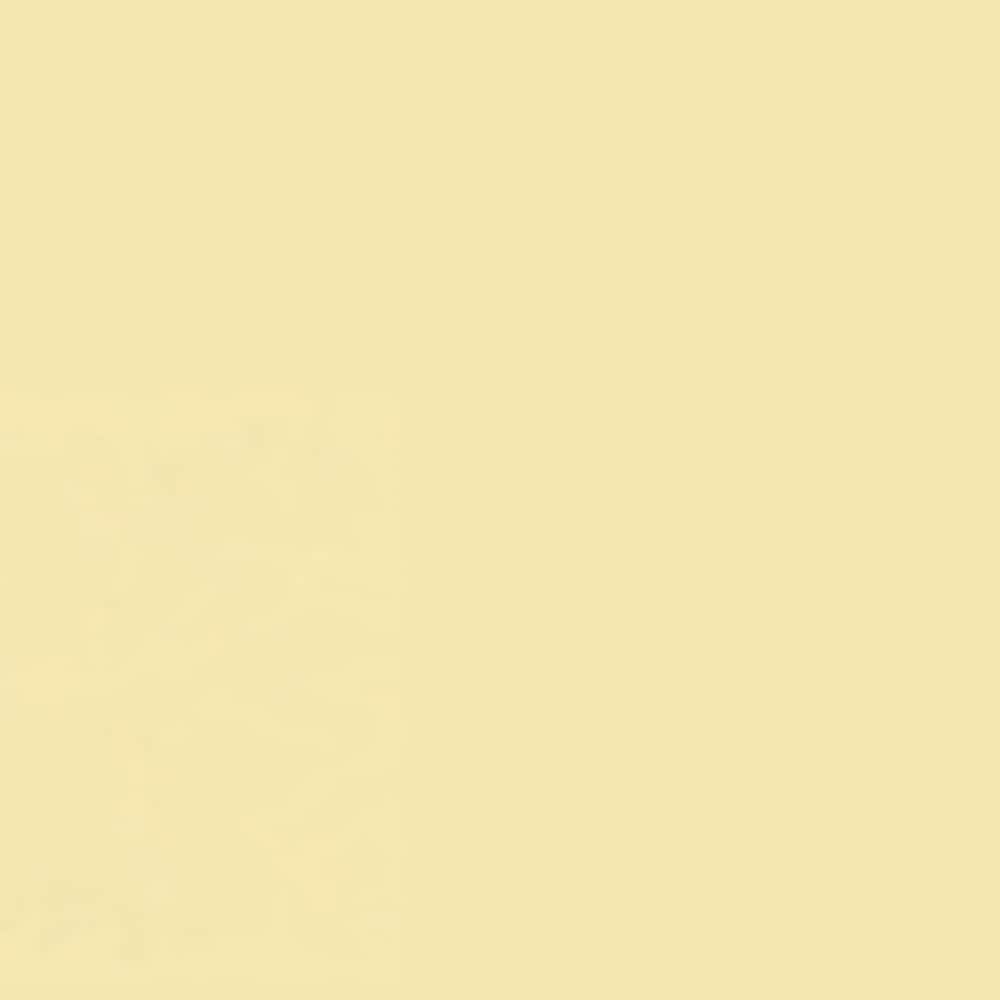 Testors 297485 Chalky-Paint - View #2